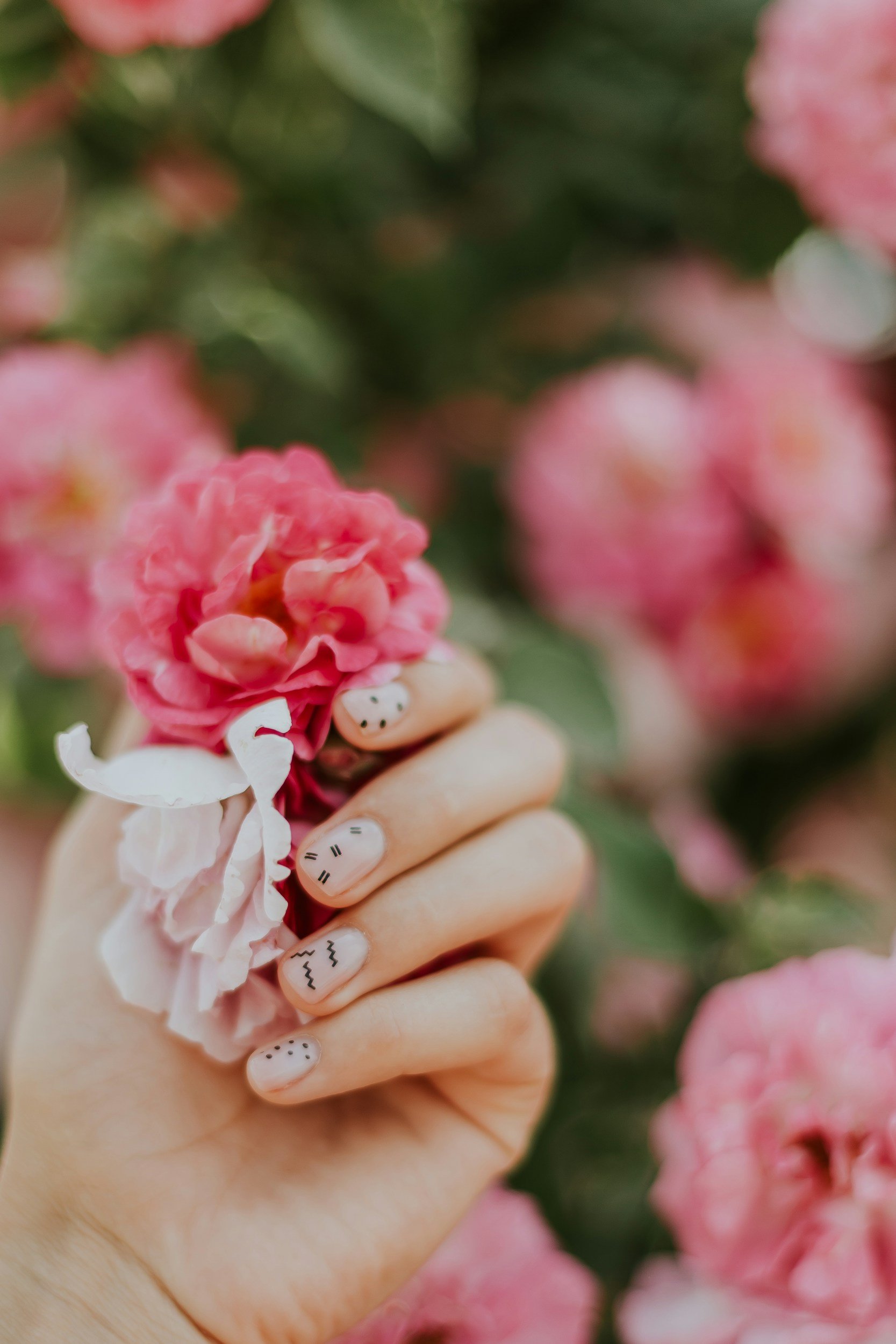 Close-up of a hand with decorated nails holding pink and white flowers against a background of pink flowers and green foliage.