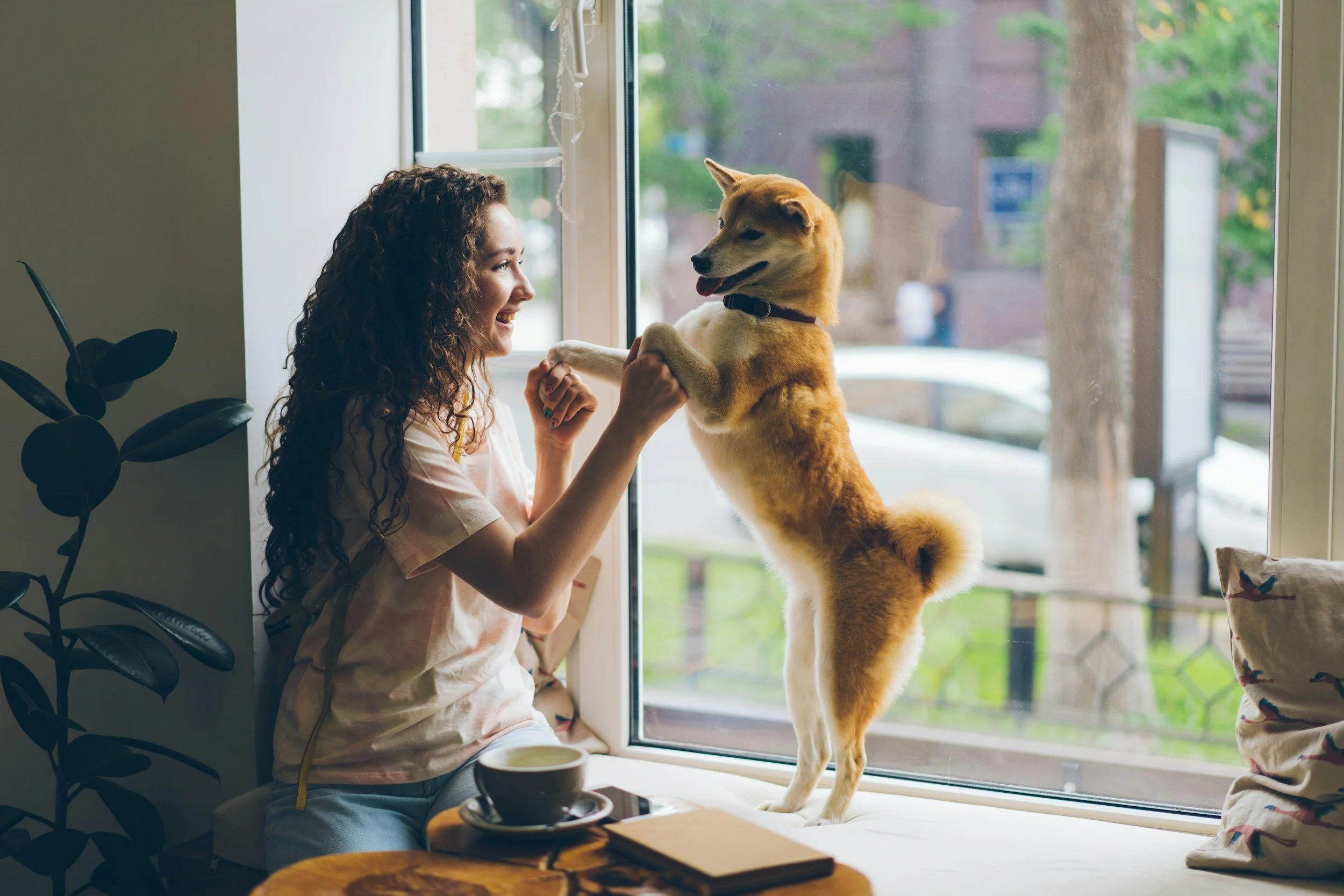 A woman with curly hair smiling as she holds paws of a standing dog on a windowsill indoors, with a view of trees and buildings outside.