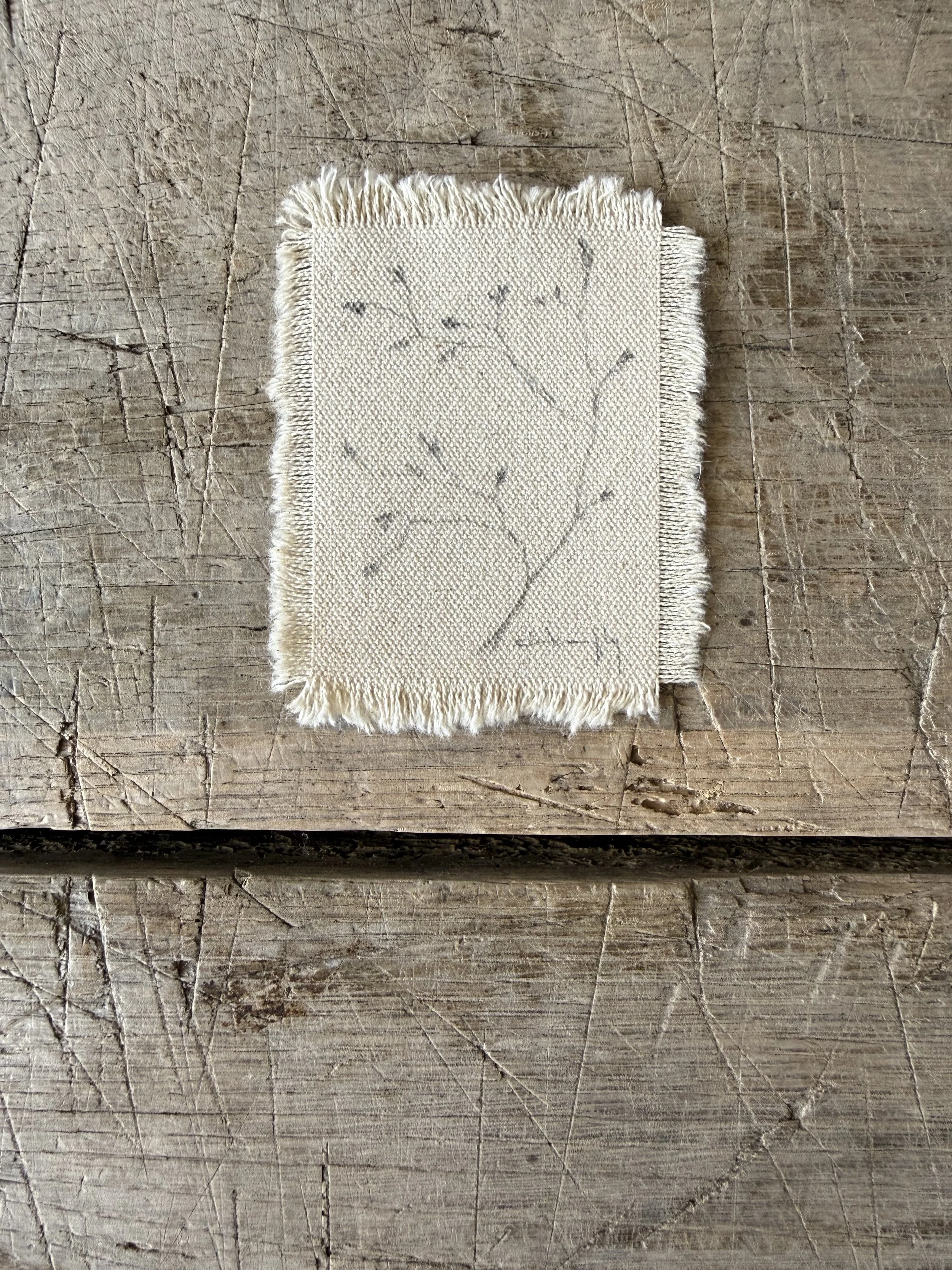 Tree Study on Raw Canvas