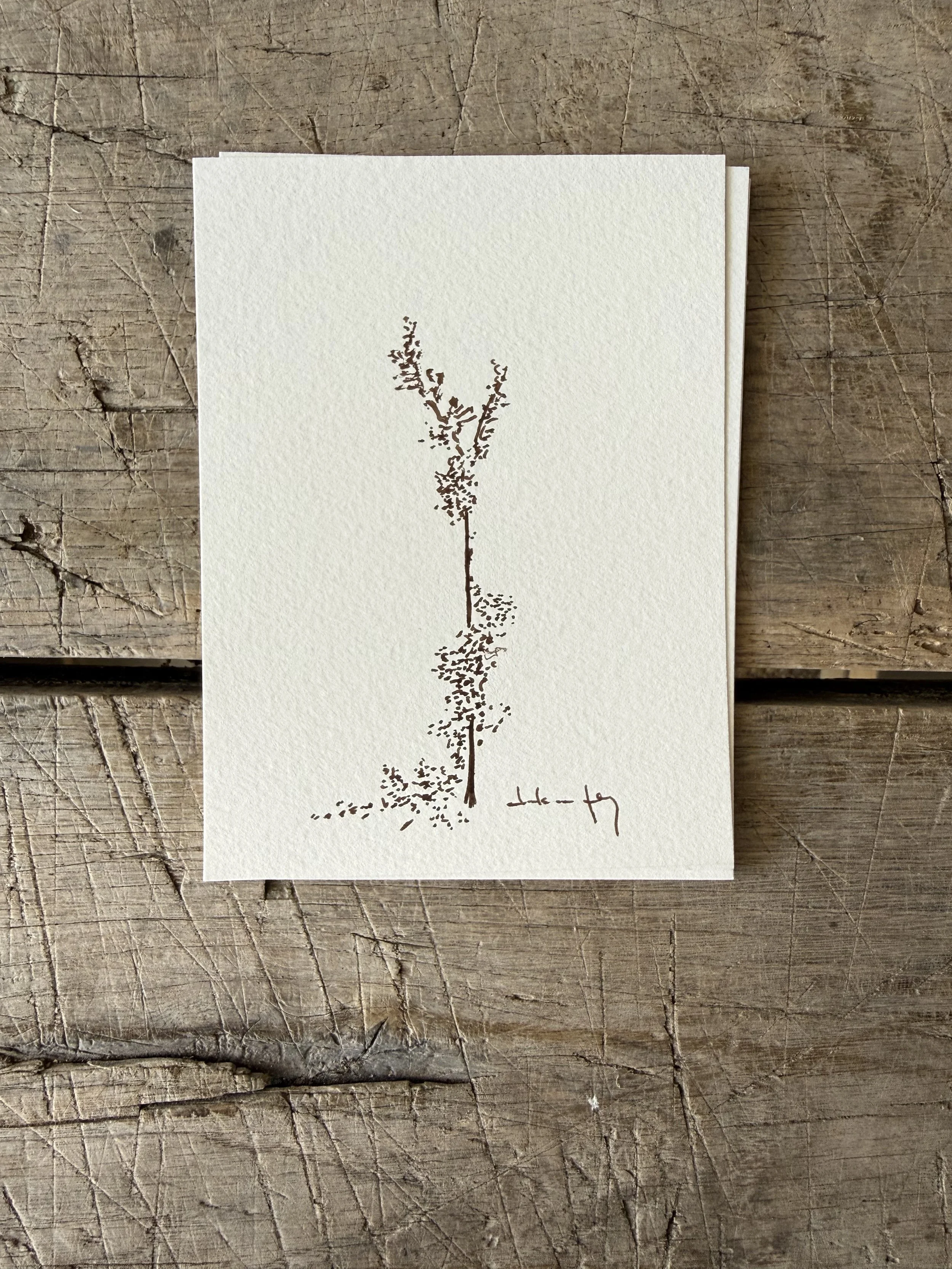 Tree Study on Paper