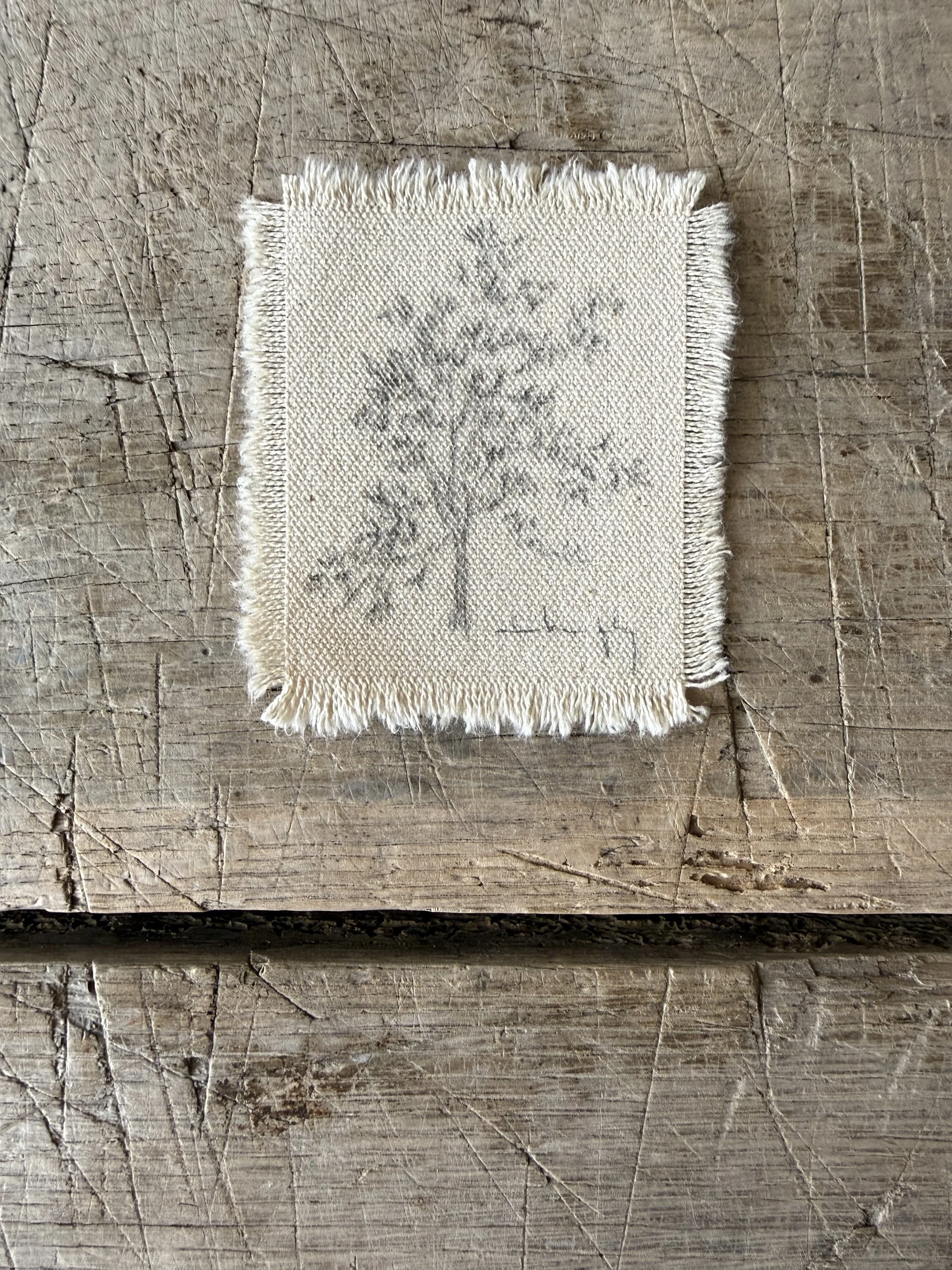 Tree Study on Raw Canvas