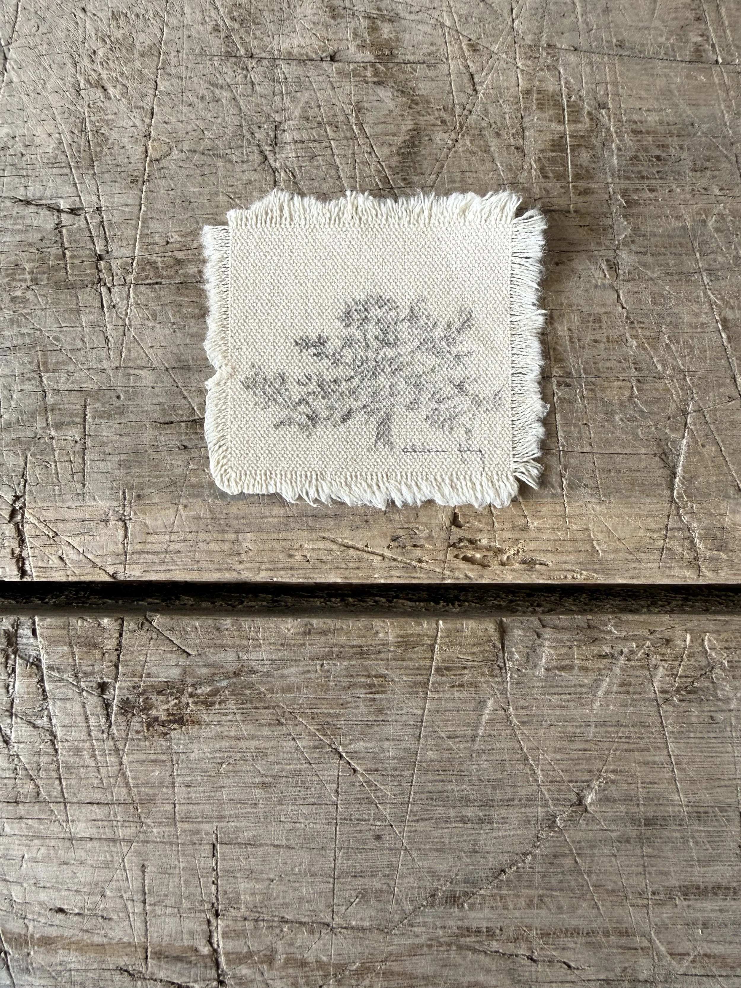 Tree Study on Raw Canvas