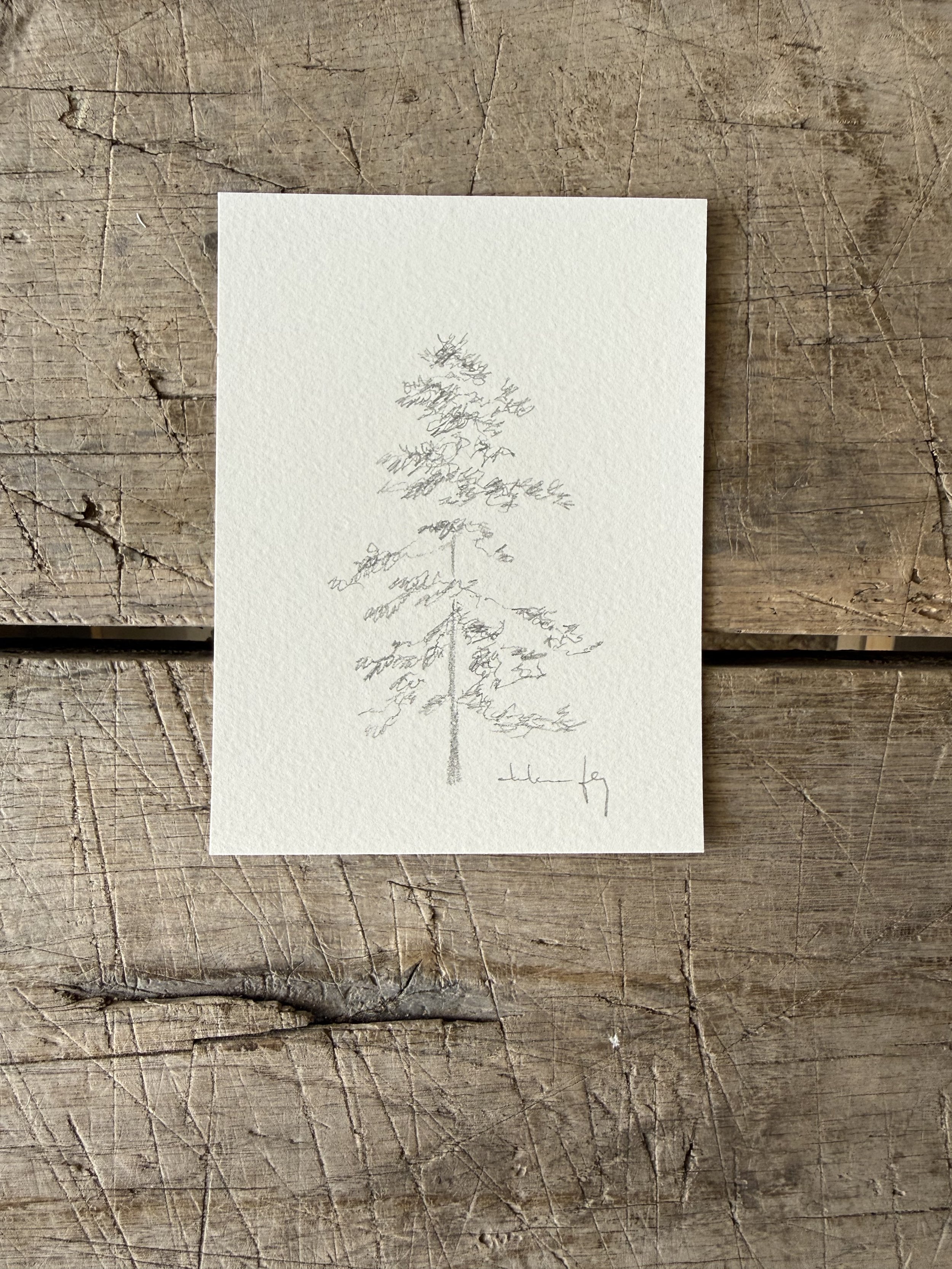 Tree Study on Paper