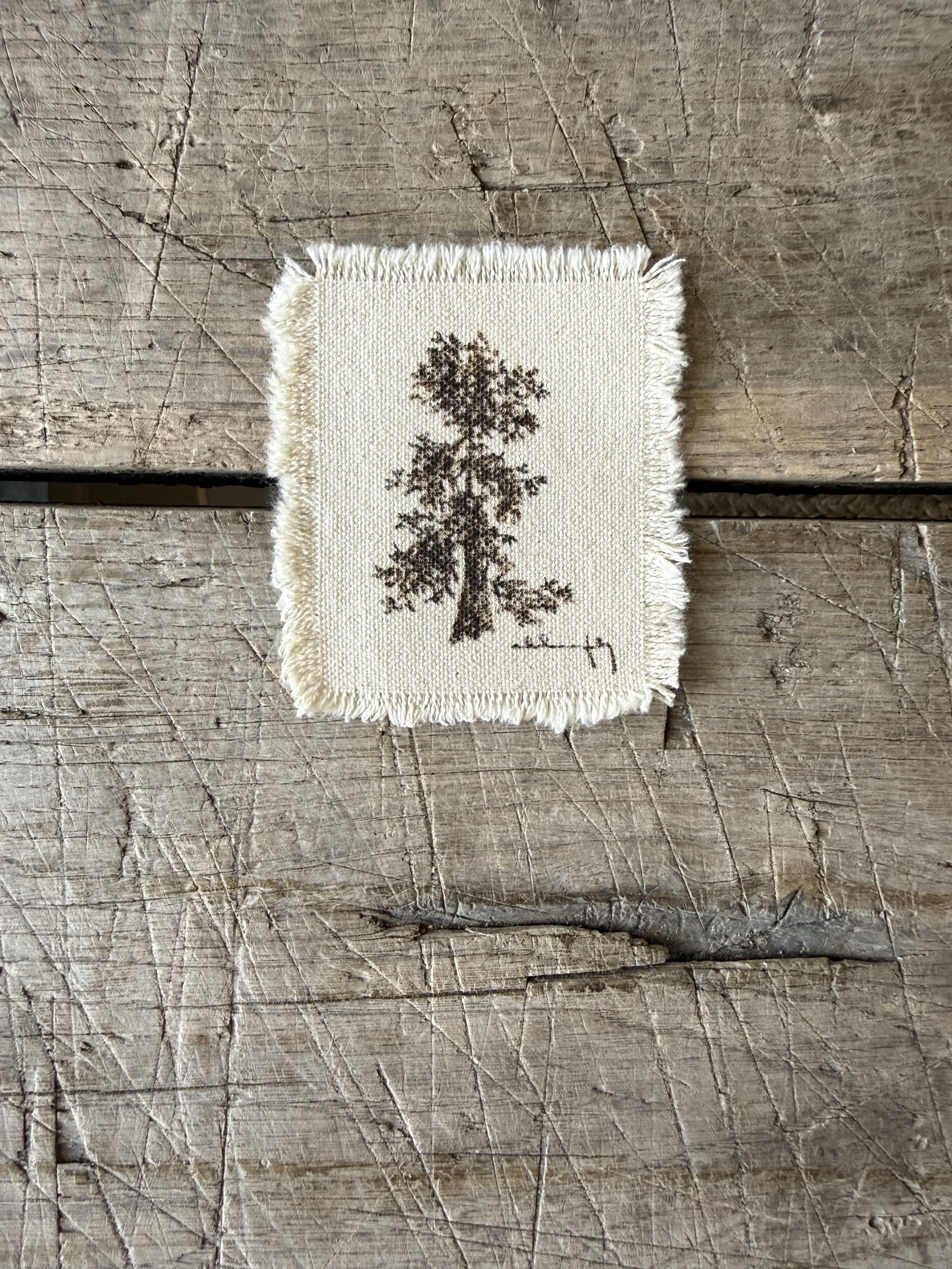 Tree Study on Raw Canvas