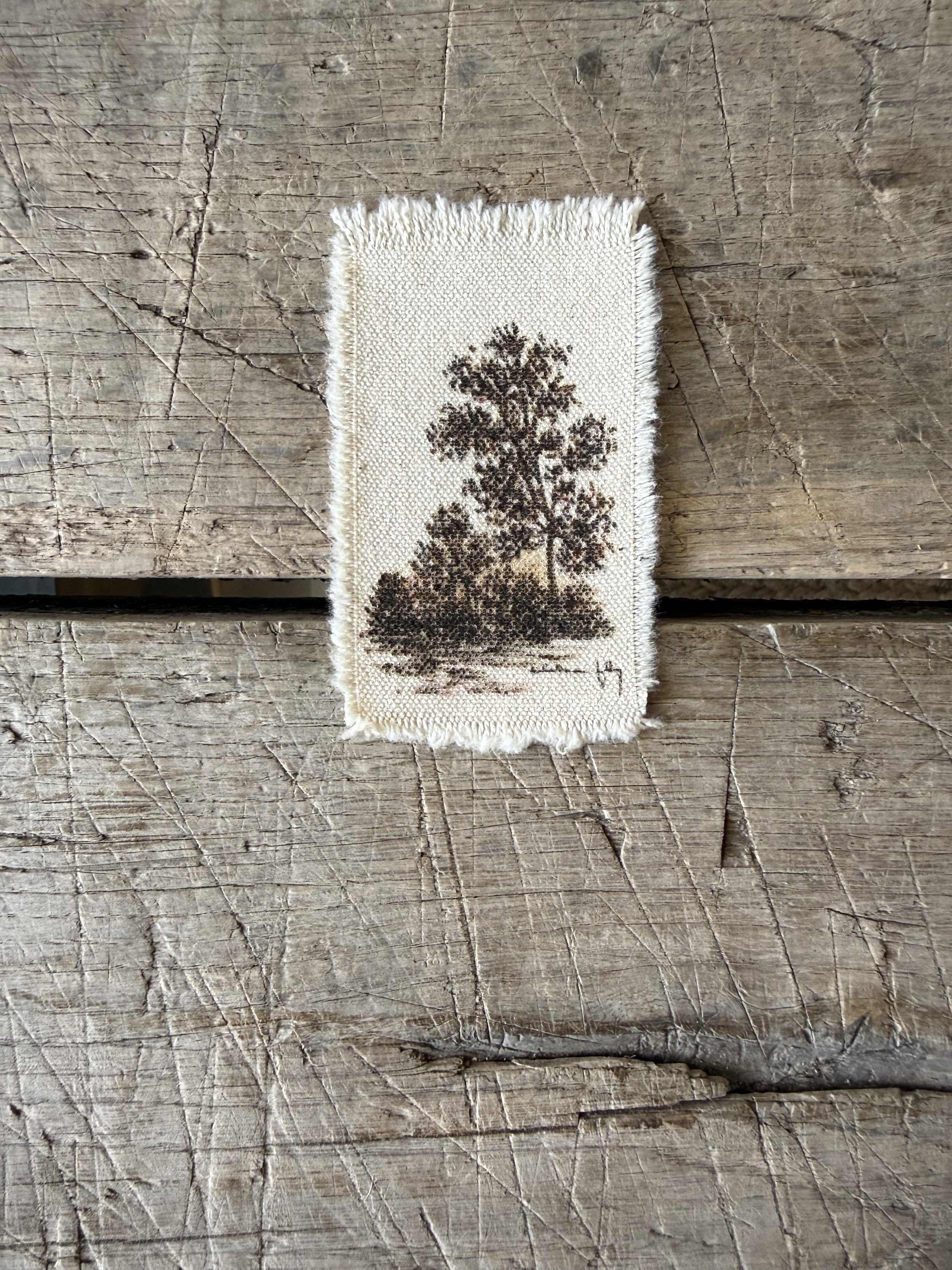 Tree Study on Raw Canvas