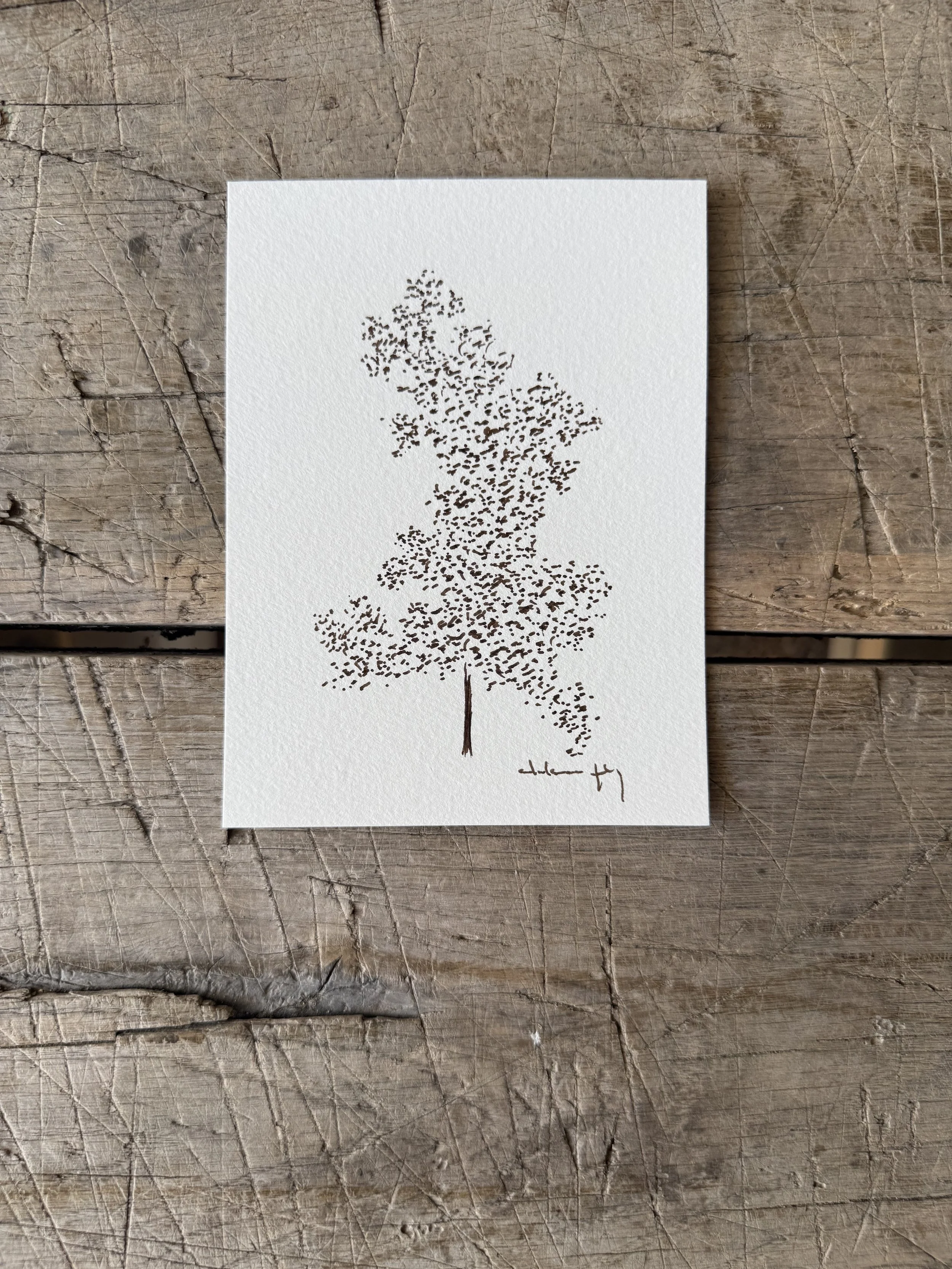 Tree Study on Paper