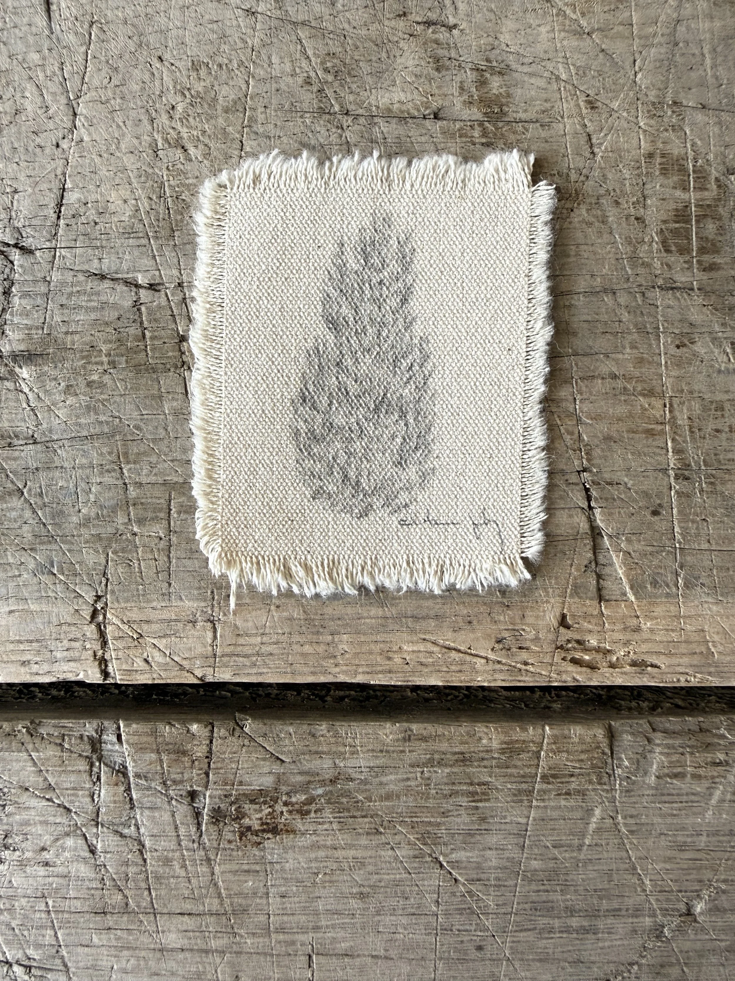 Tree Study on Raw Canvas
