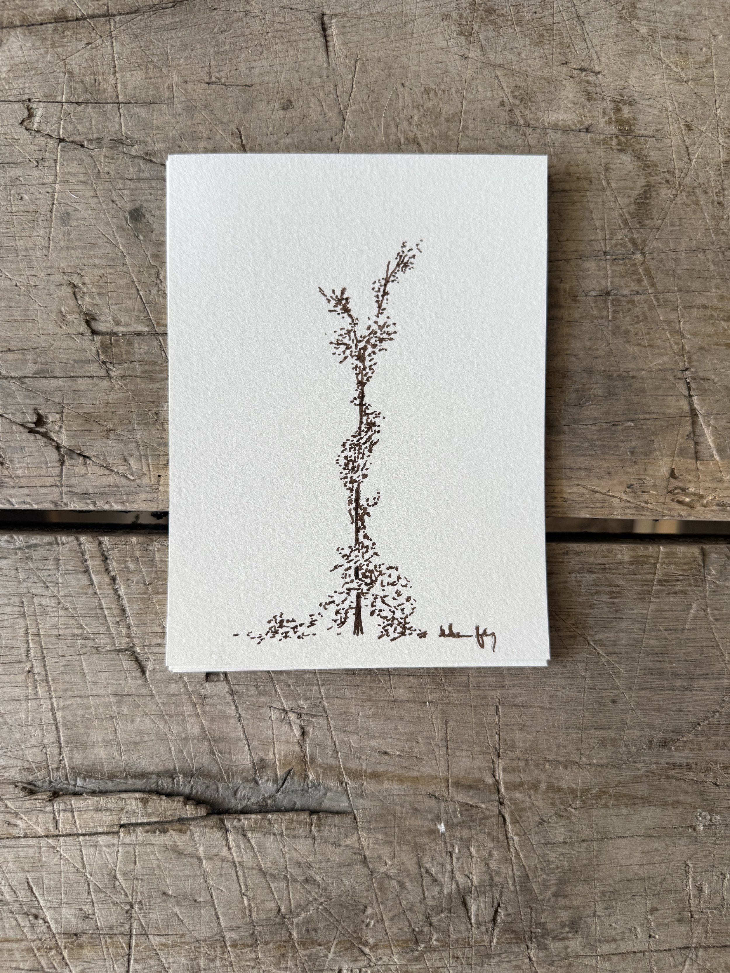 Tree Study on Paper