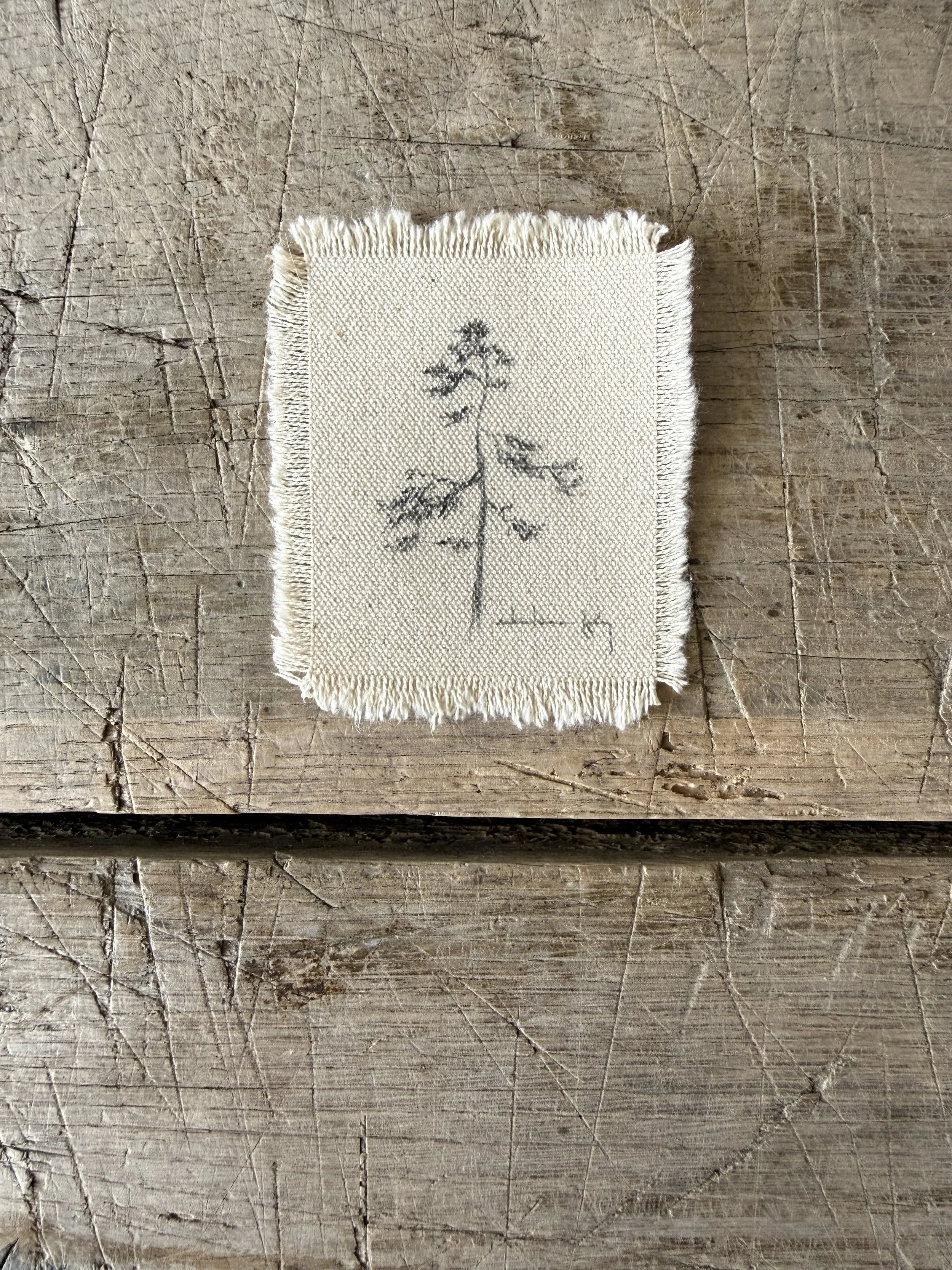 Tree Study on Raw Canvas