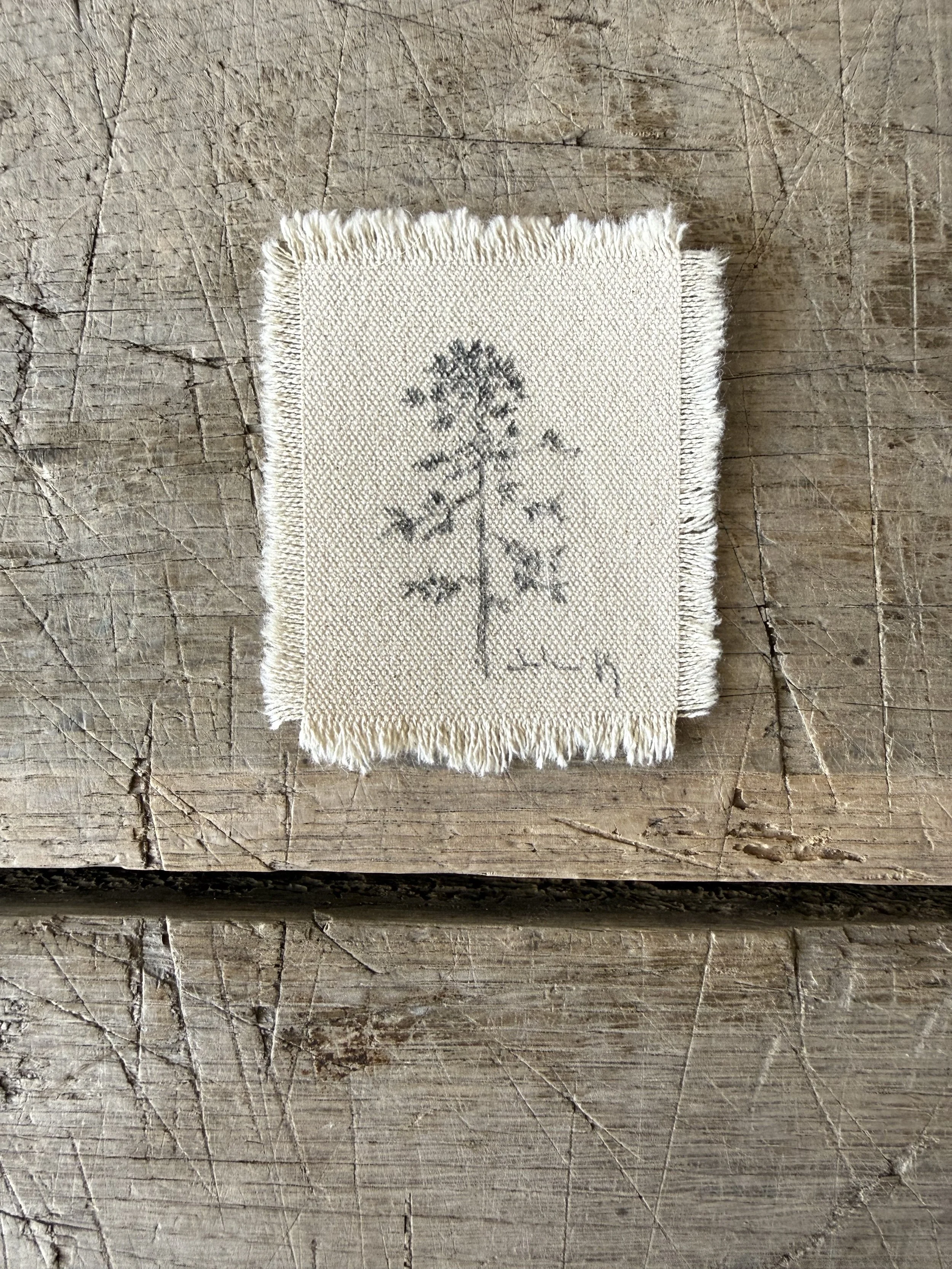 Tree Study on Raw Canvas