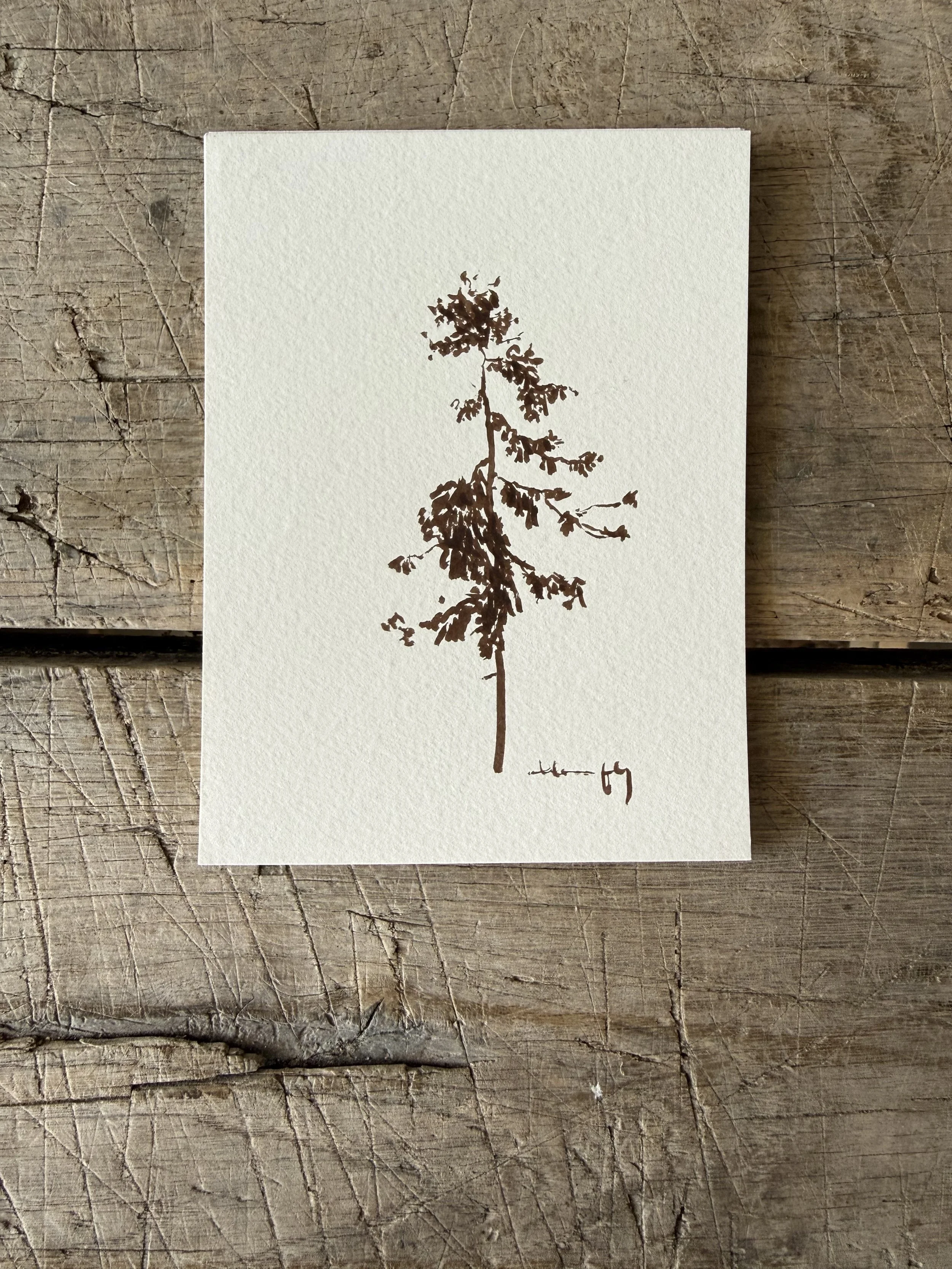 Tree Study on Paper