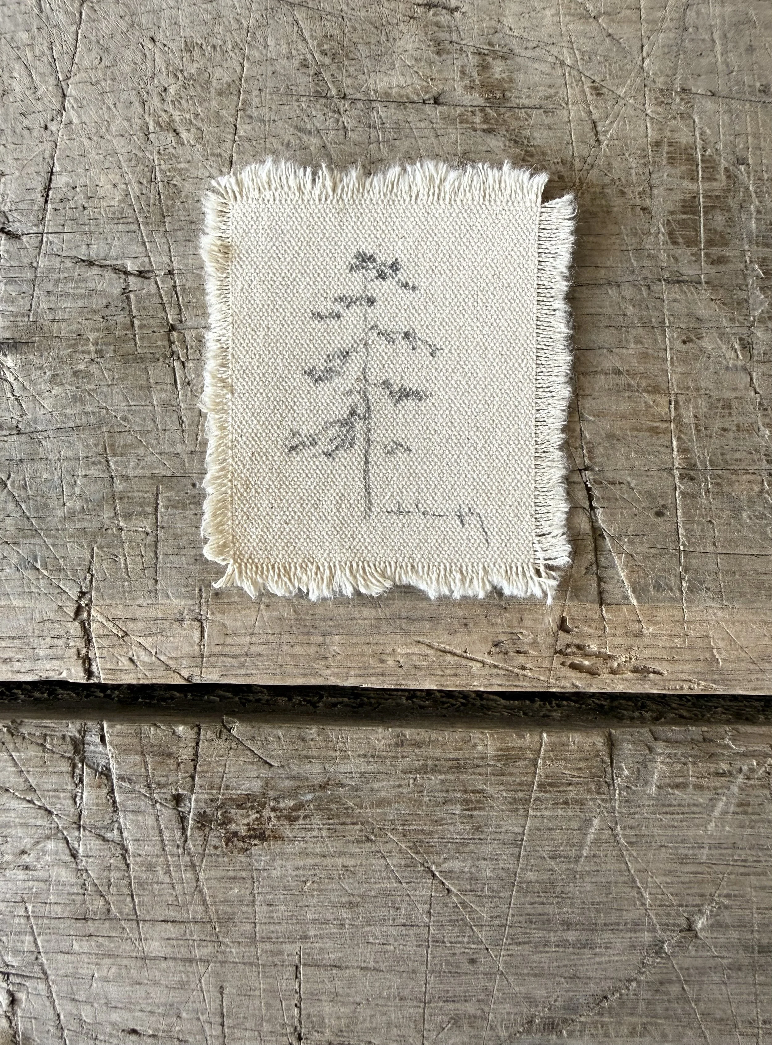Tree Study on Raw Canvas