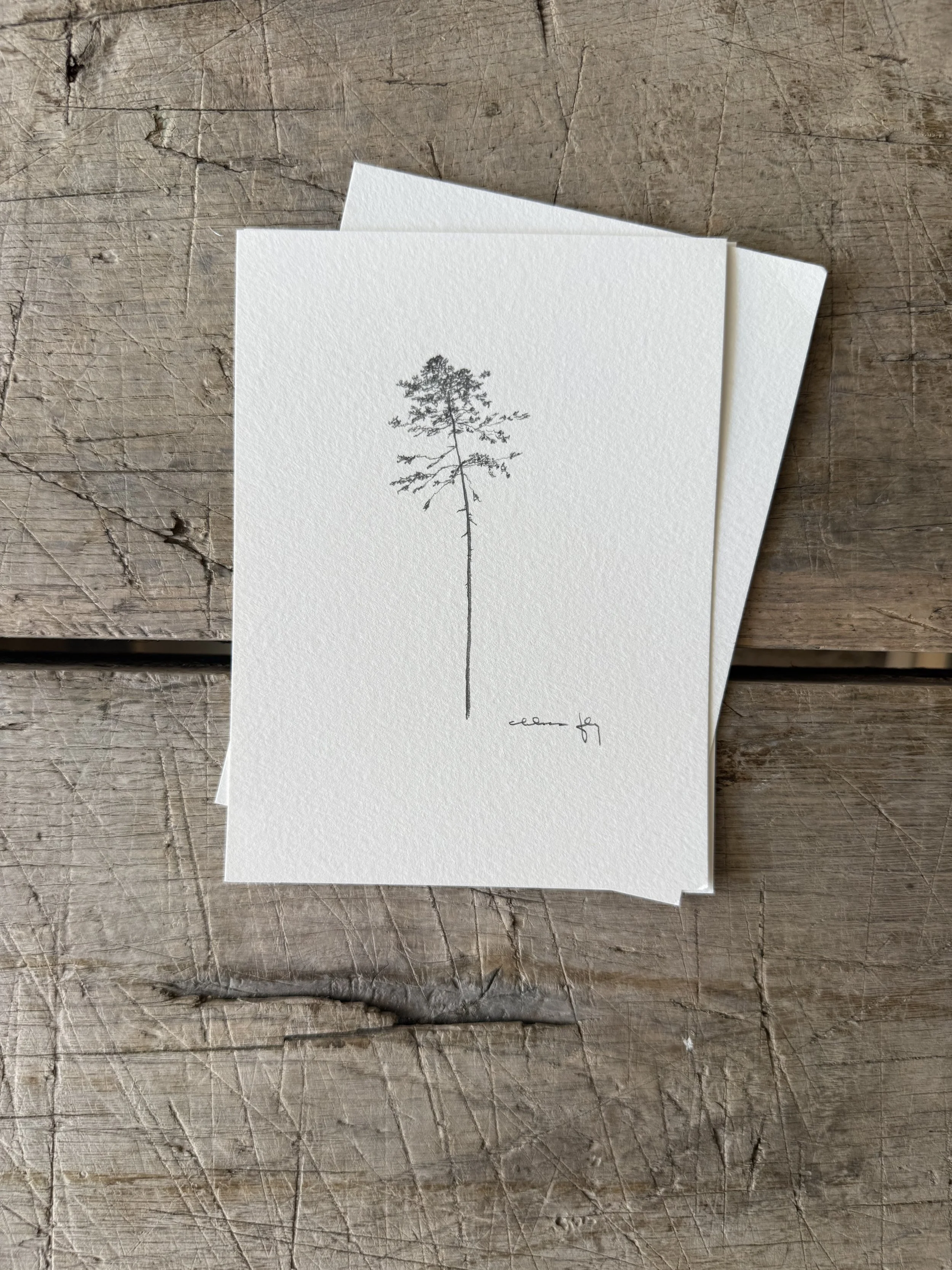 Tree Study on Paper