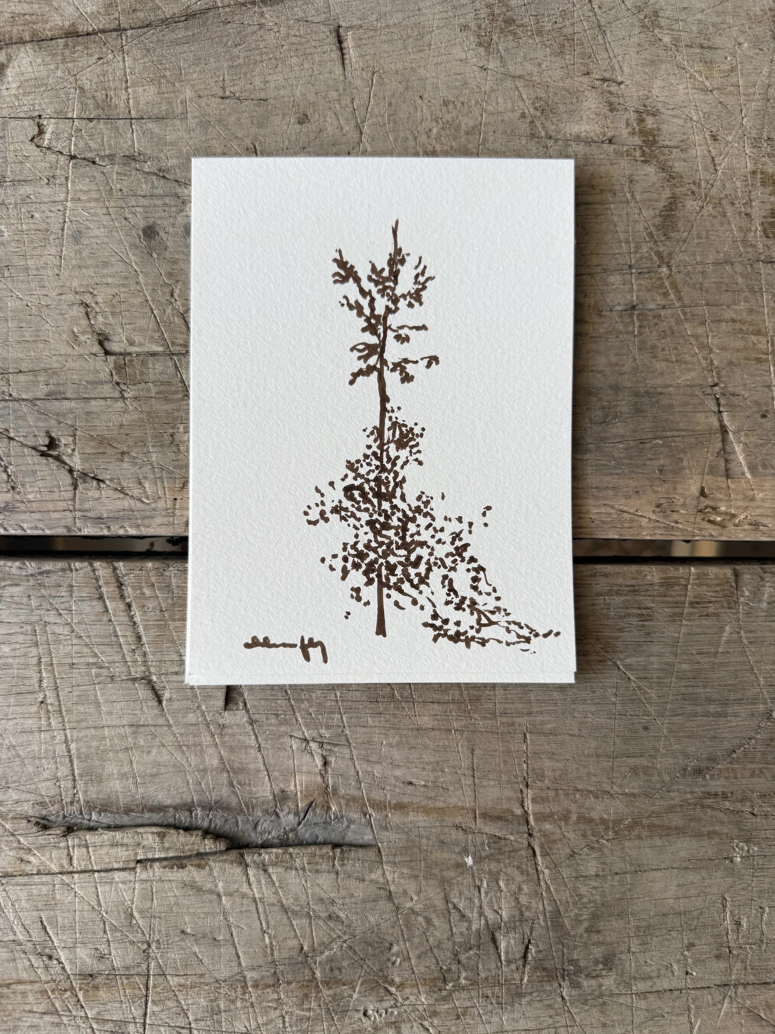 Tree Study on Paper
