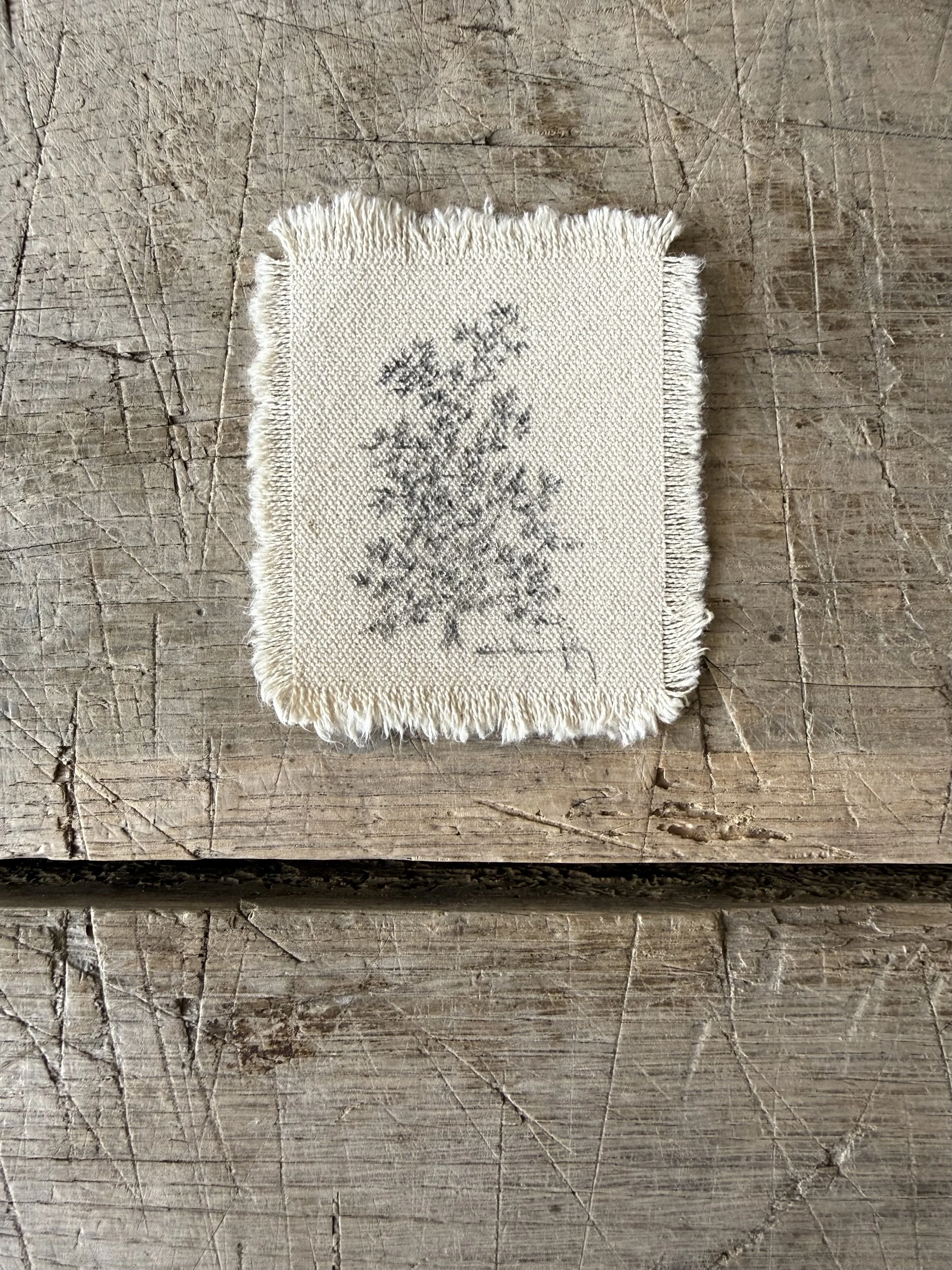 Tree Study on Raw Canvas