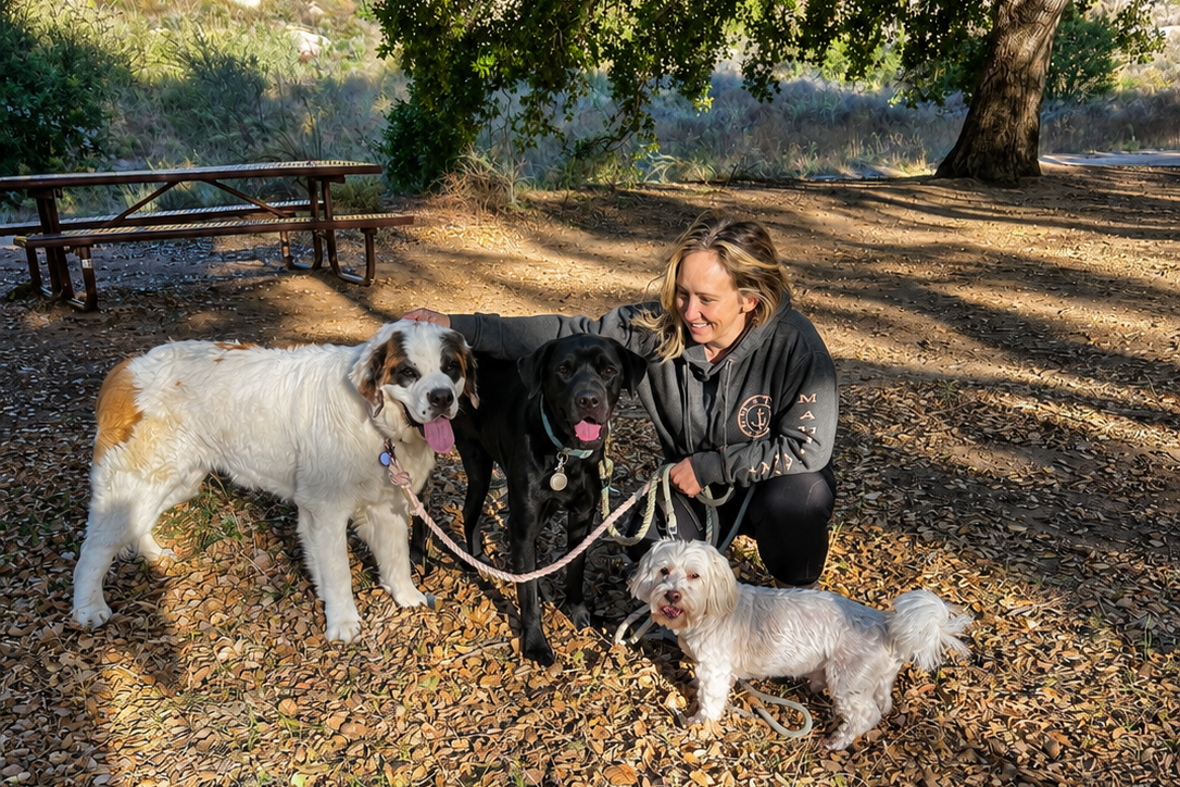 A woman with long blonde hair smiling at four dogs in a shaded outdoor park surrounded by trees and fallen leaves.