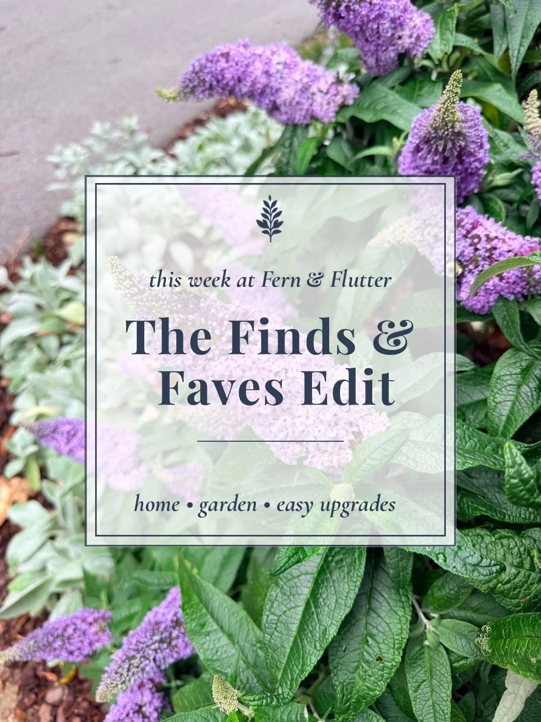 In case you missed it&hellip;here are a few of my favorite finds, projects, and most-loved posts from this week. 🤍

This week included:
🌿 Finally installing my woven blinds
🍽️ Kitchen upgrades that make life easier
🌱 Turning 5 catmint plants into