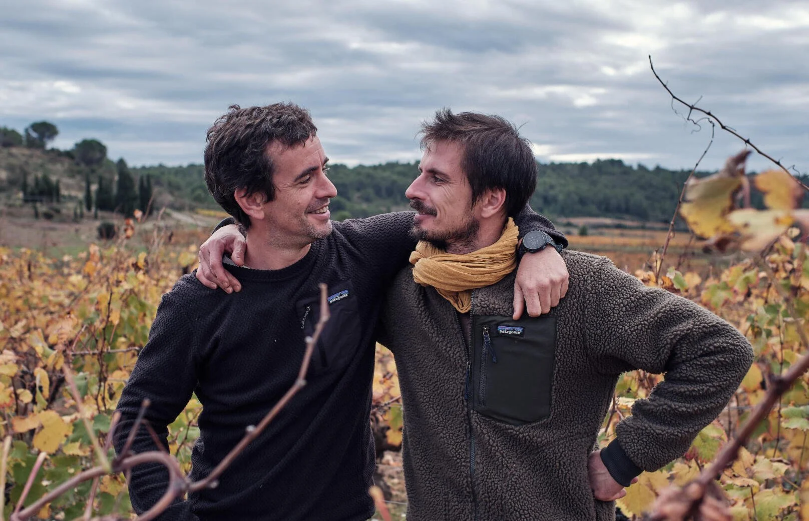 VIN DES POTES