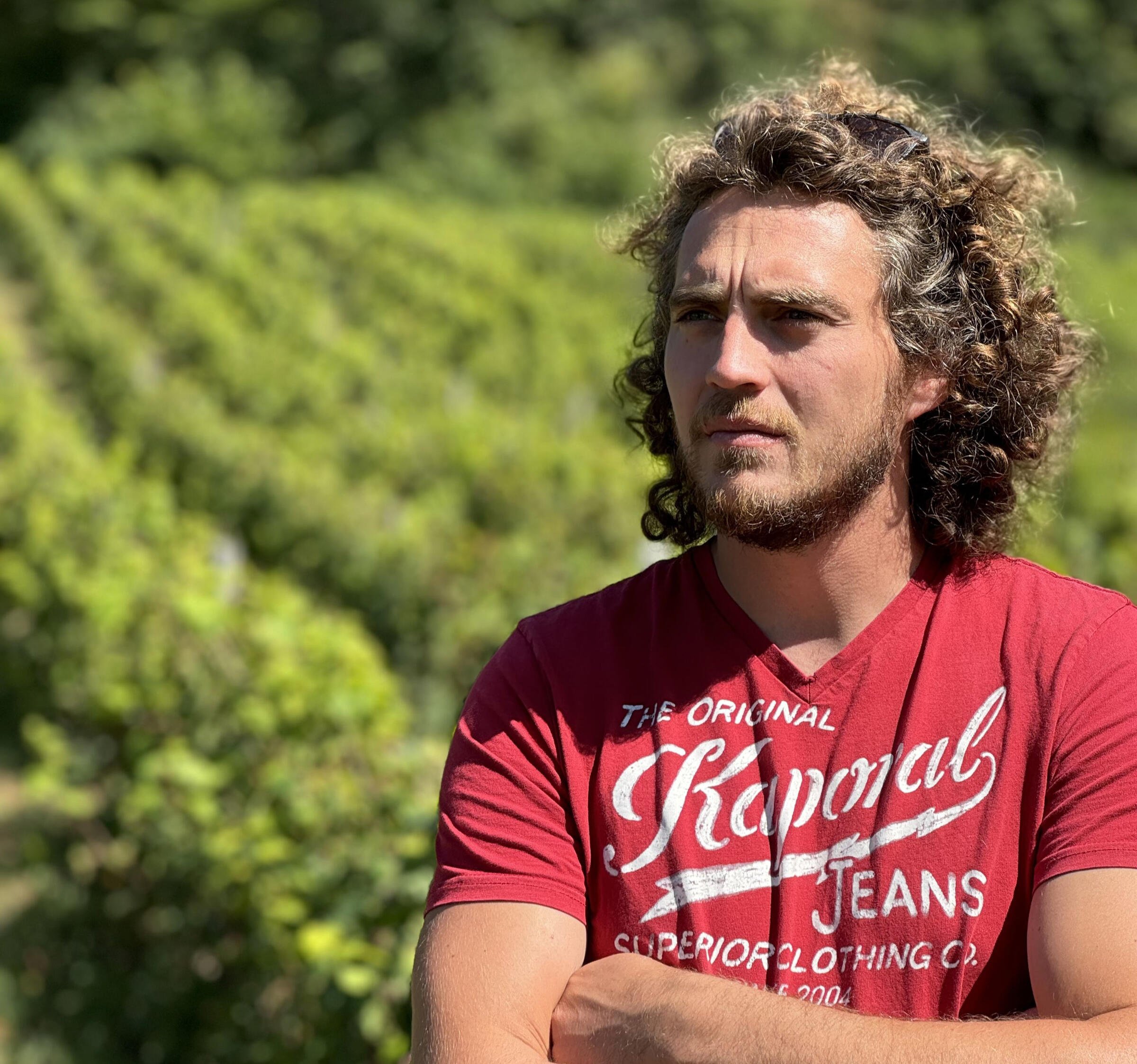DAMIEN GUADAGNOLO