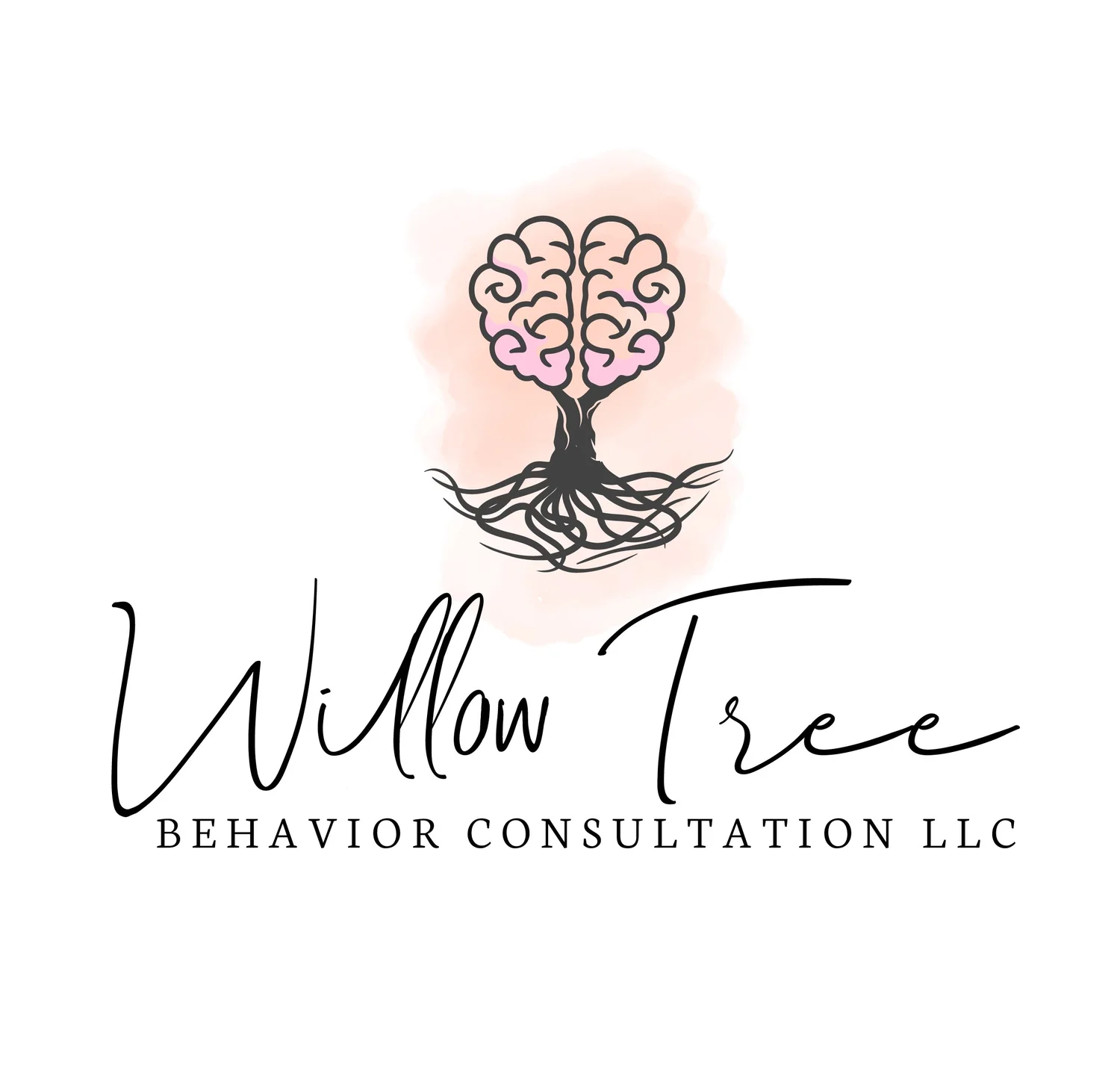Willow Behavior