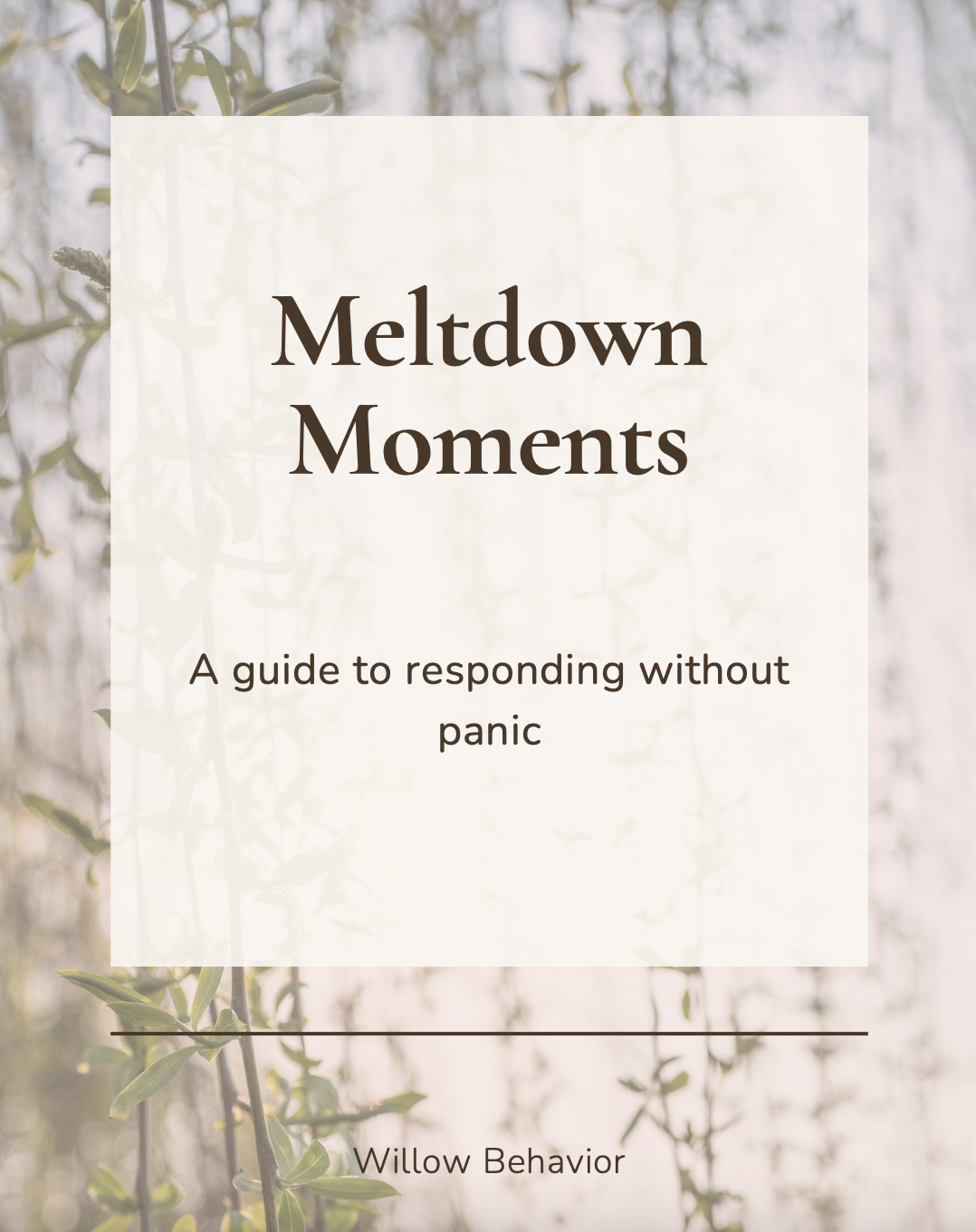 Meltdown Moments: A Guide to Responding Without the Panic