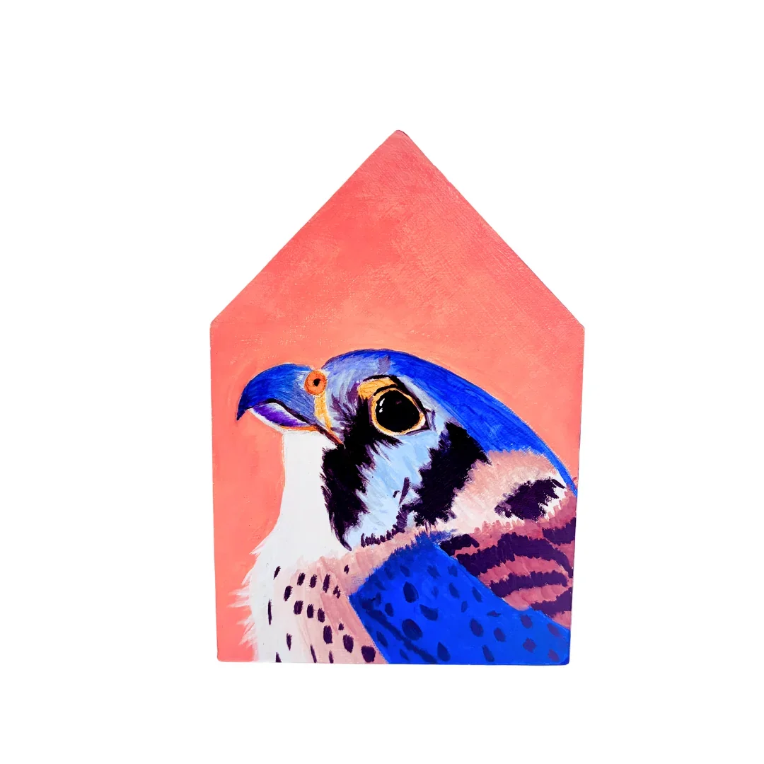 Bird House, Orange