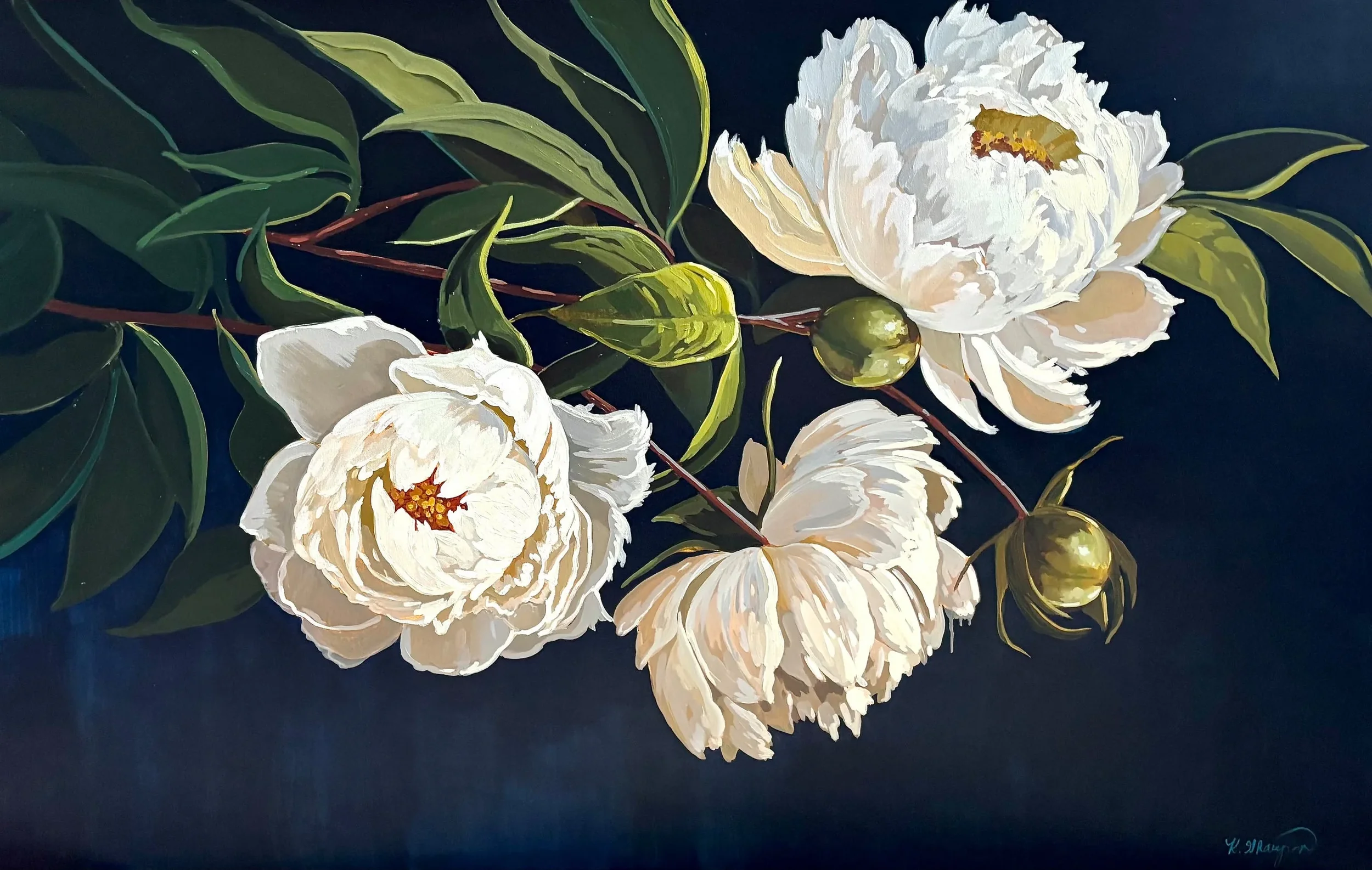 image-06.webp