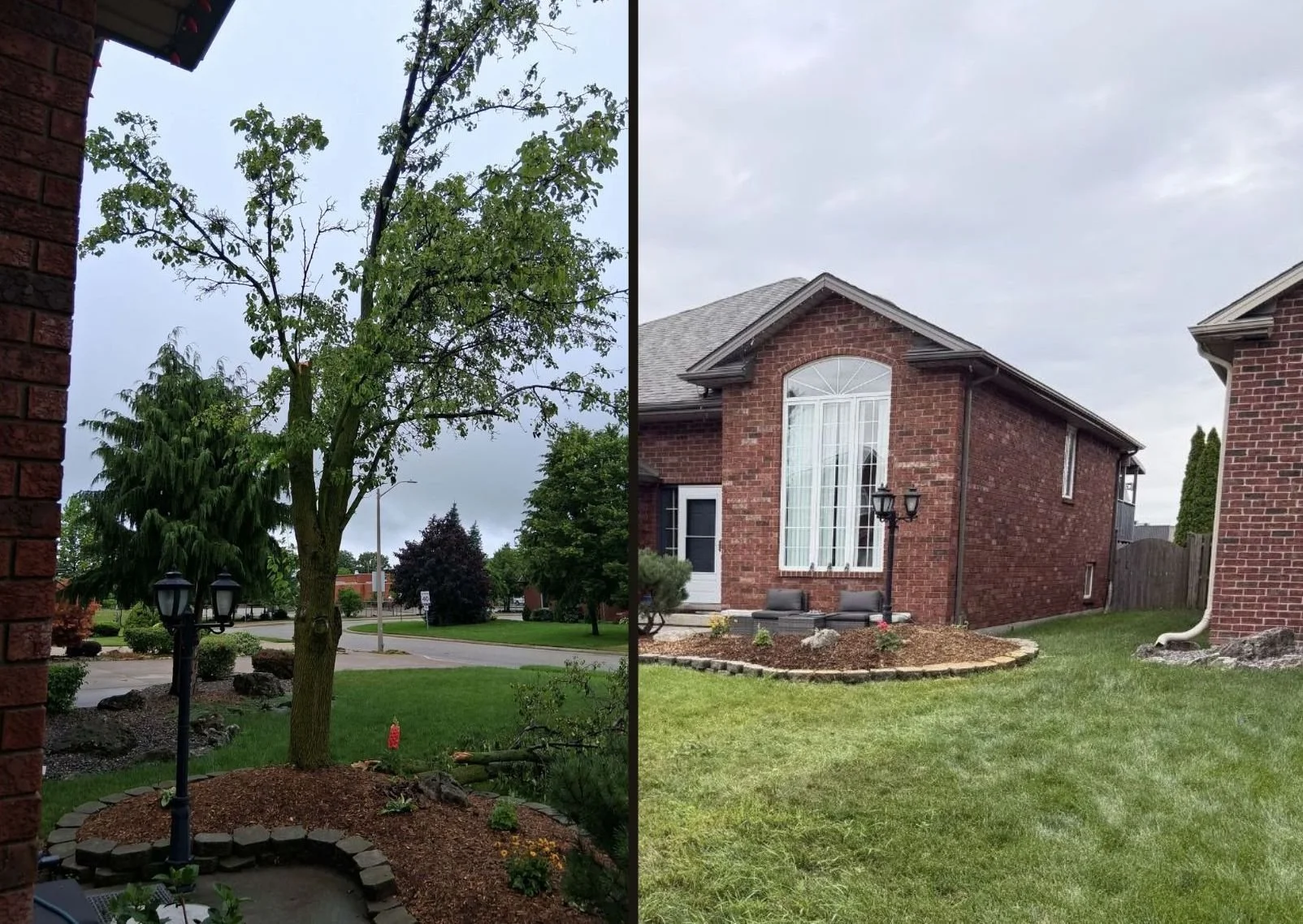 Comparison of a front yard before and after landscaping and brick cleaning. The left side shows a yard with a large tree, bushes, and a lamp post, while the right side shows a cleaner yard with grass and a new brick house exterior.