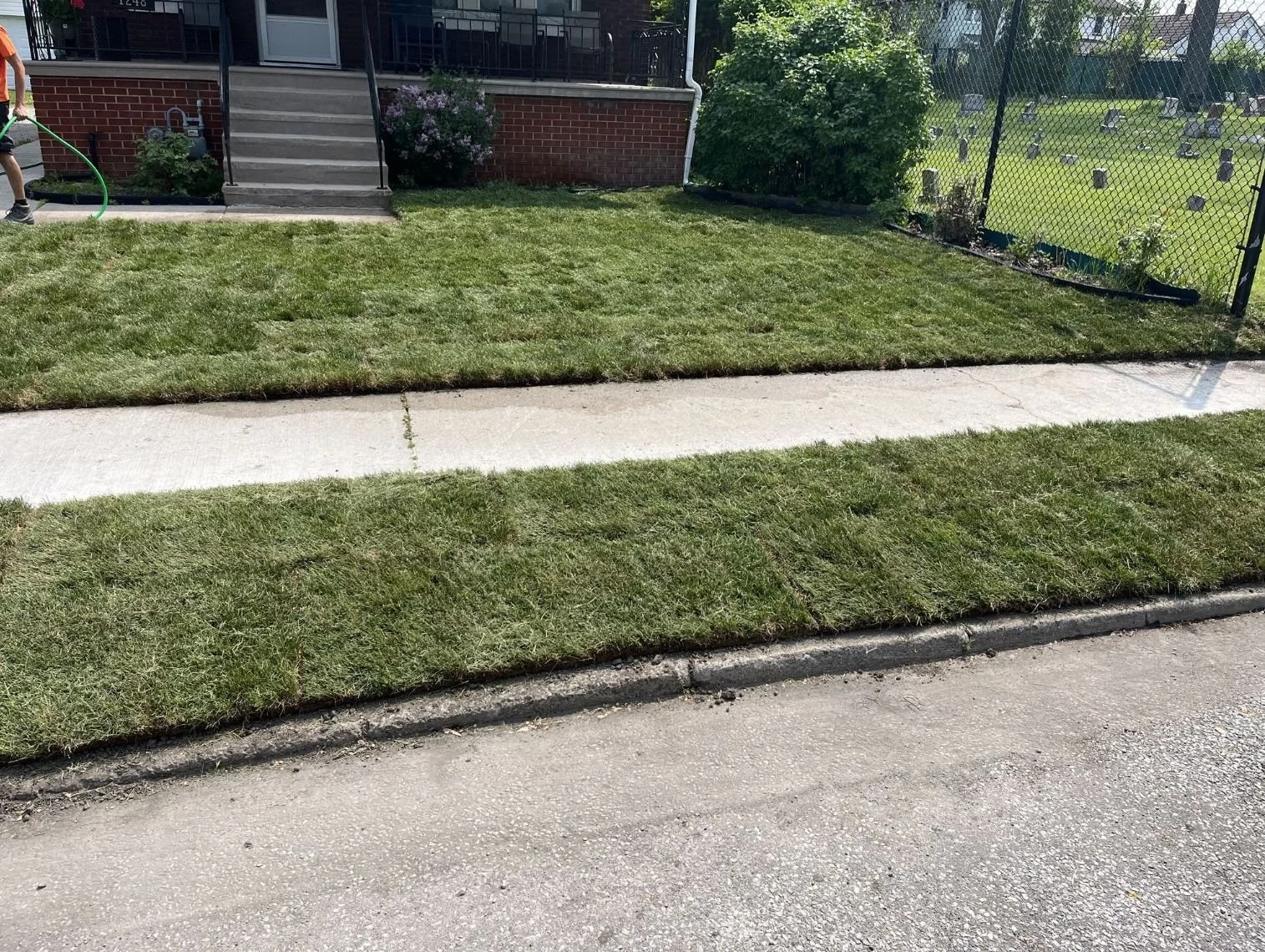Freshly mowed front yard with green grass, a concrete sidewalk, and steps leading to the house with a brick facade and flowering bushes.