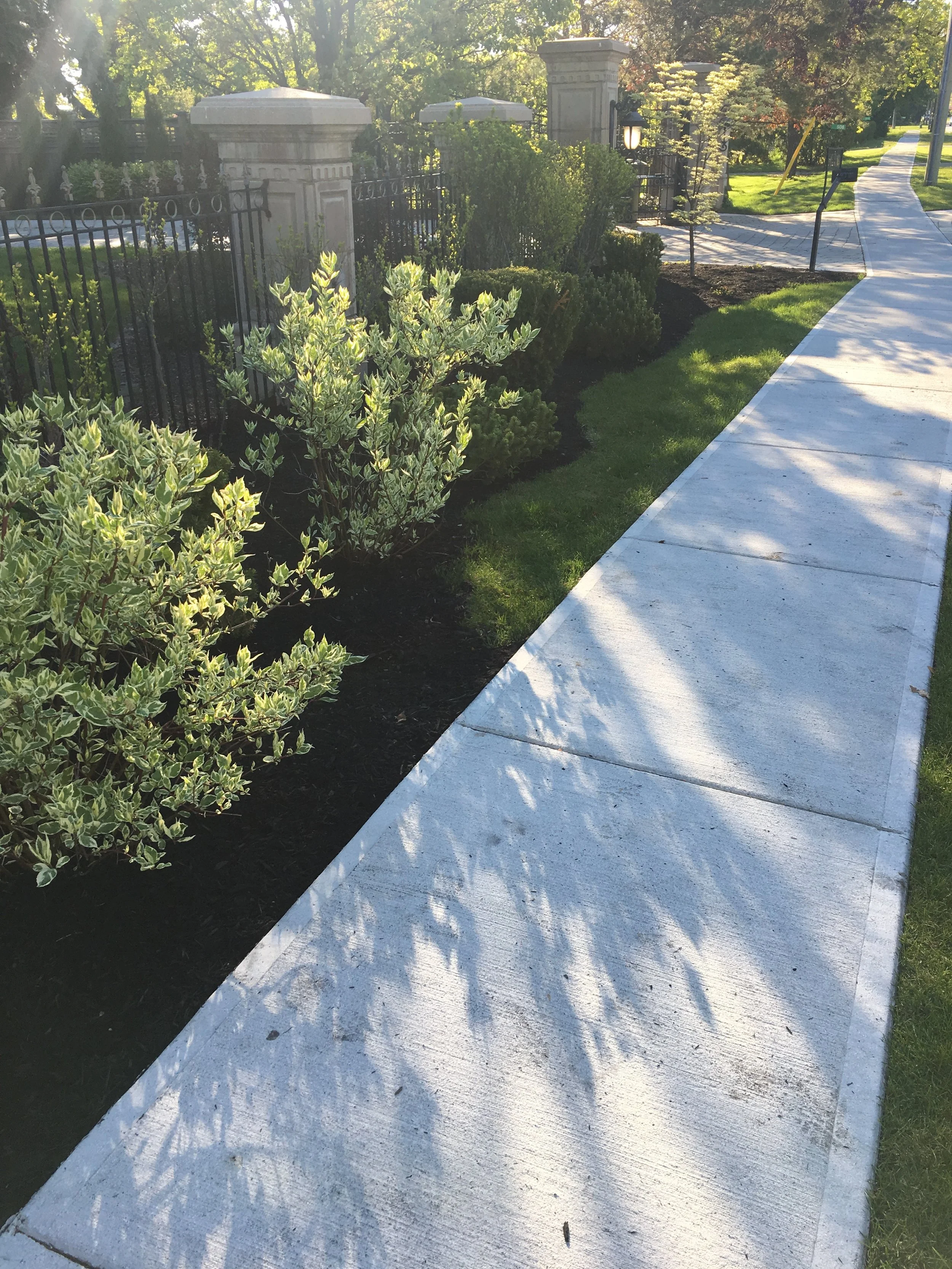 A sidewalk next to a garden with green shrubs and a metal fence. In the background, there are trees and a pathway with some street lamps.