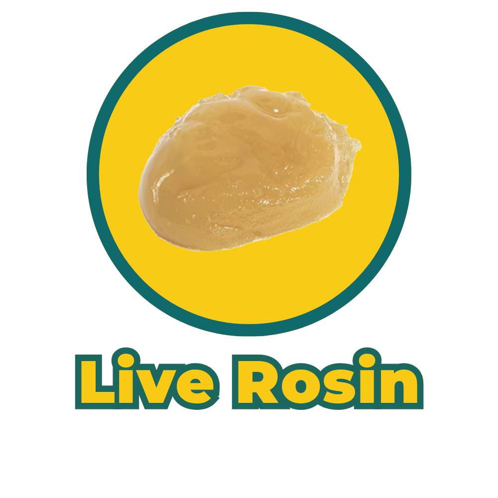 A rock of live rosin cannabis product with text "Live Rosin" below it, on a yellow background.