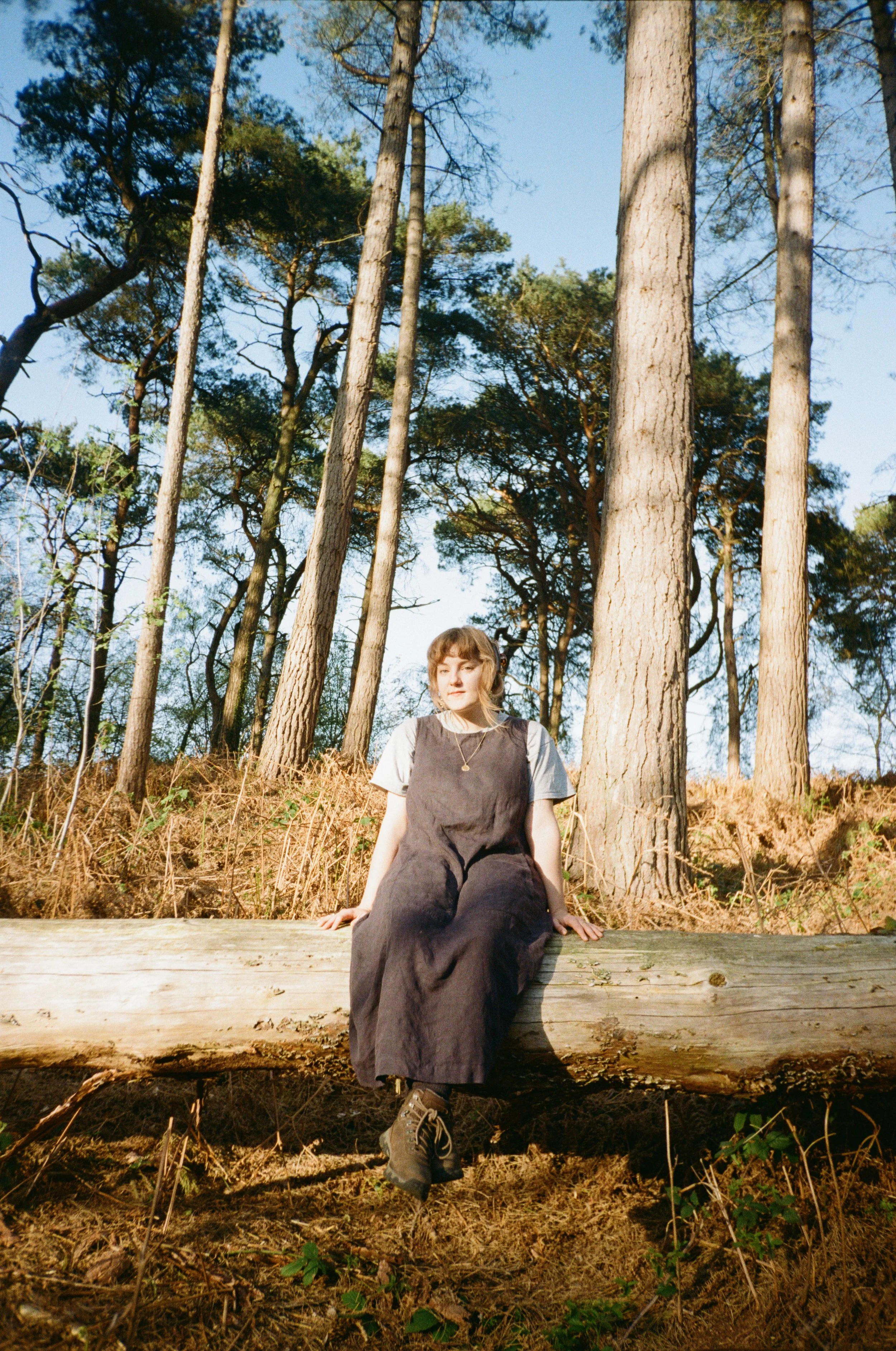 A young woman with short brown hair and bangs sitting on a large fallen log in a forest, surrounded by tall pine trees with sparse branches, under a clear blue sky, during daylight.