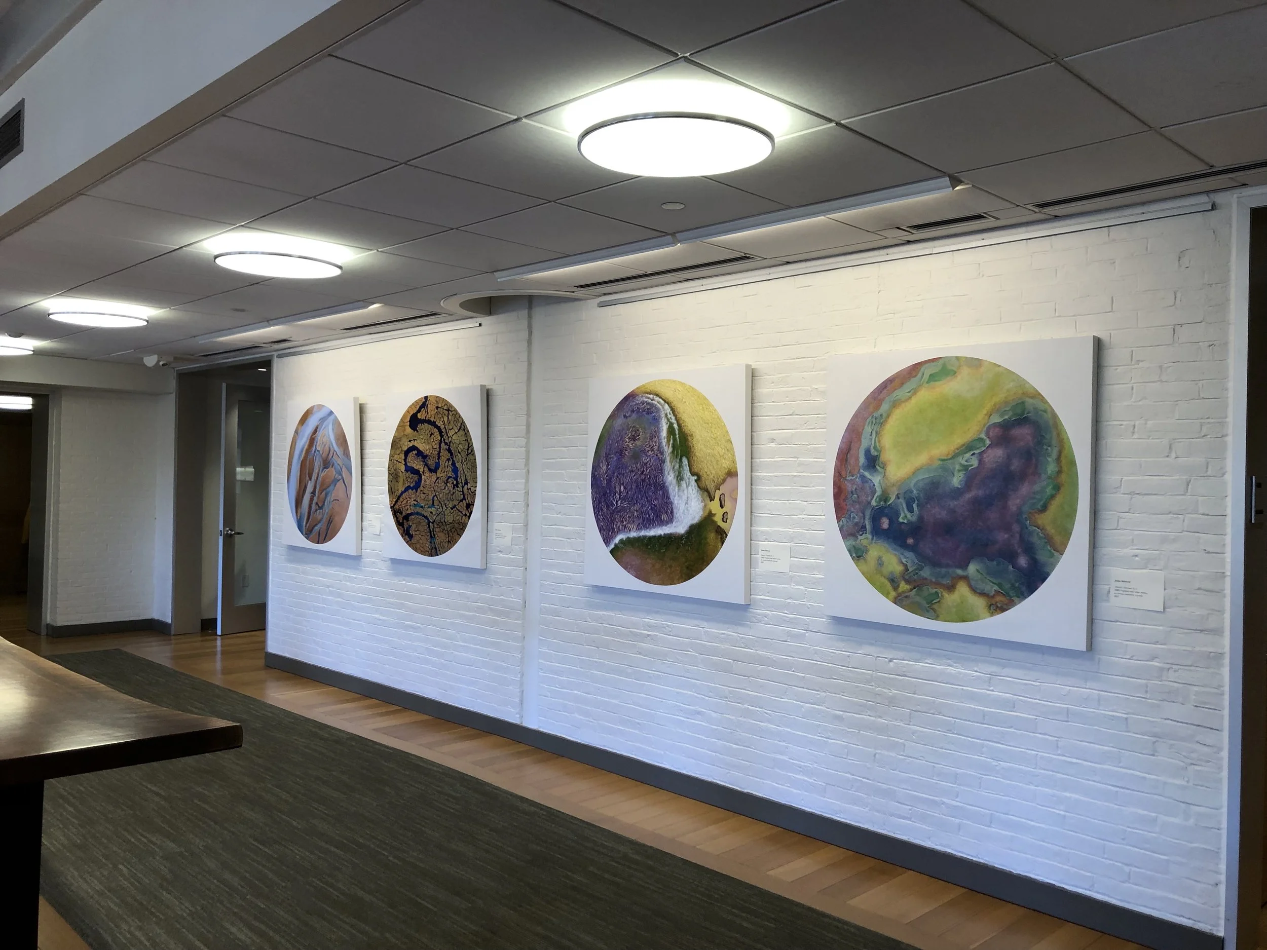 Vital Exhibition Harvard University Center for the Environment 2024 3.jpg