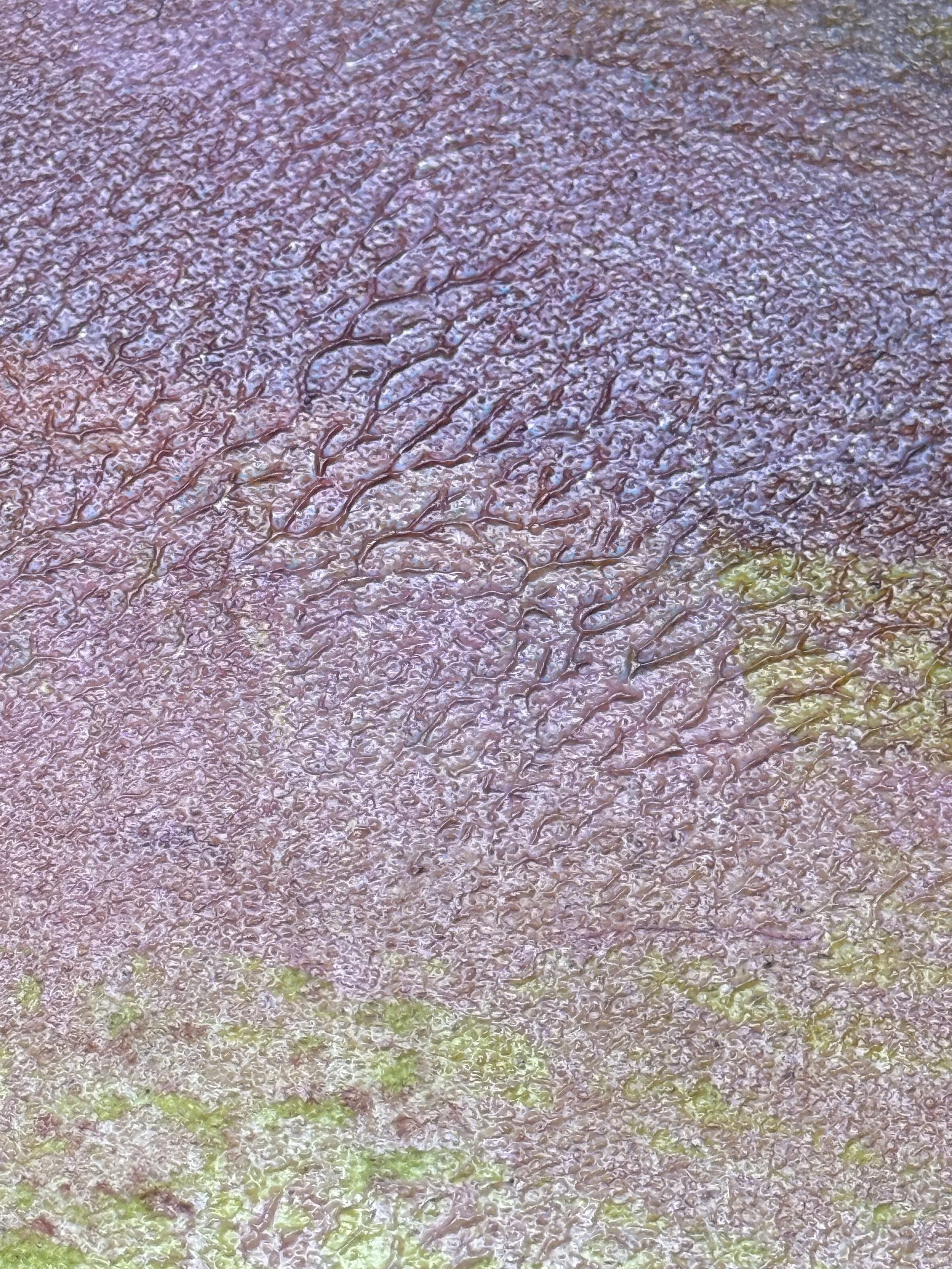 Aetheria 3, detail