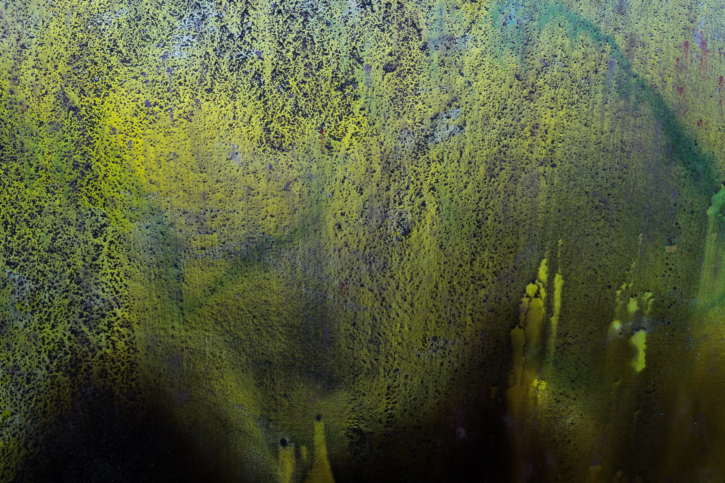 Shimmer, detail