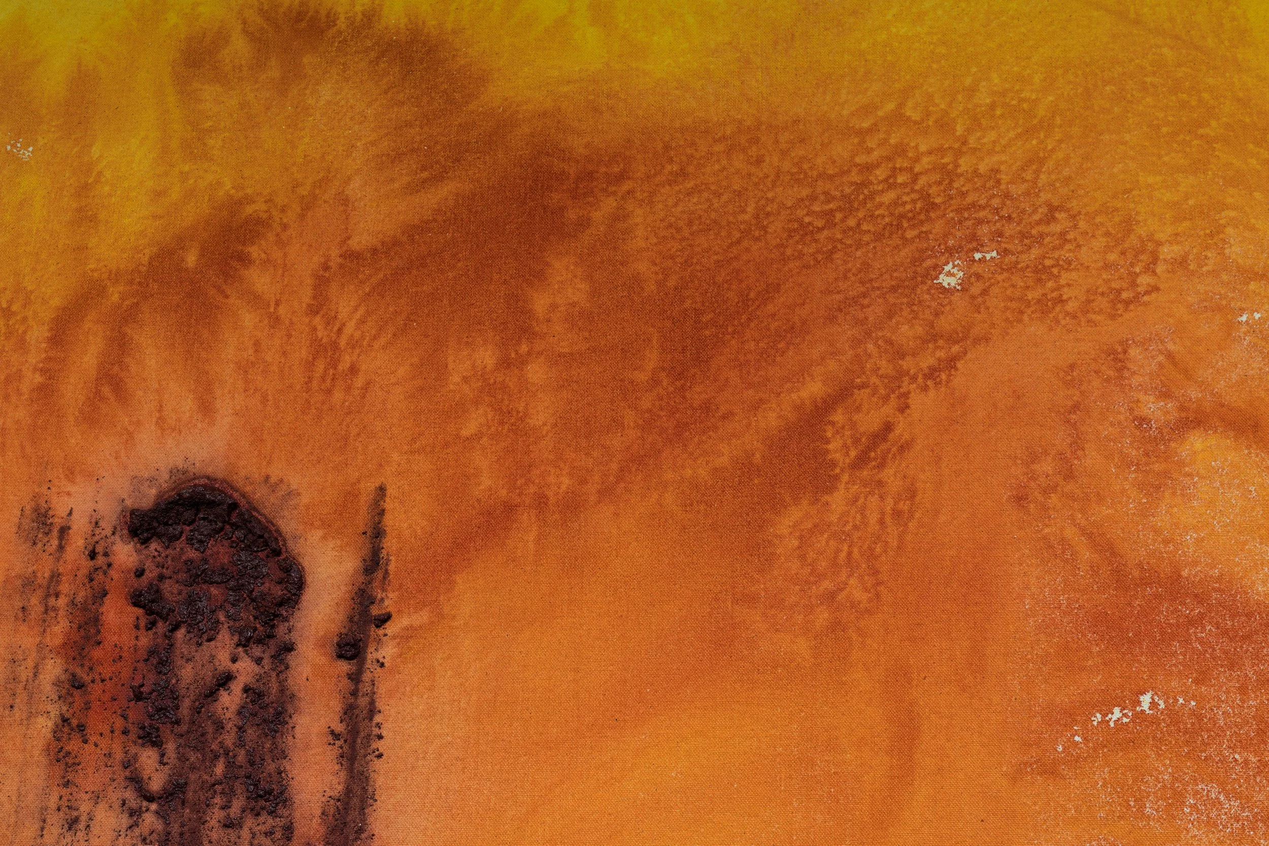Flux Field, detail