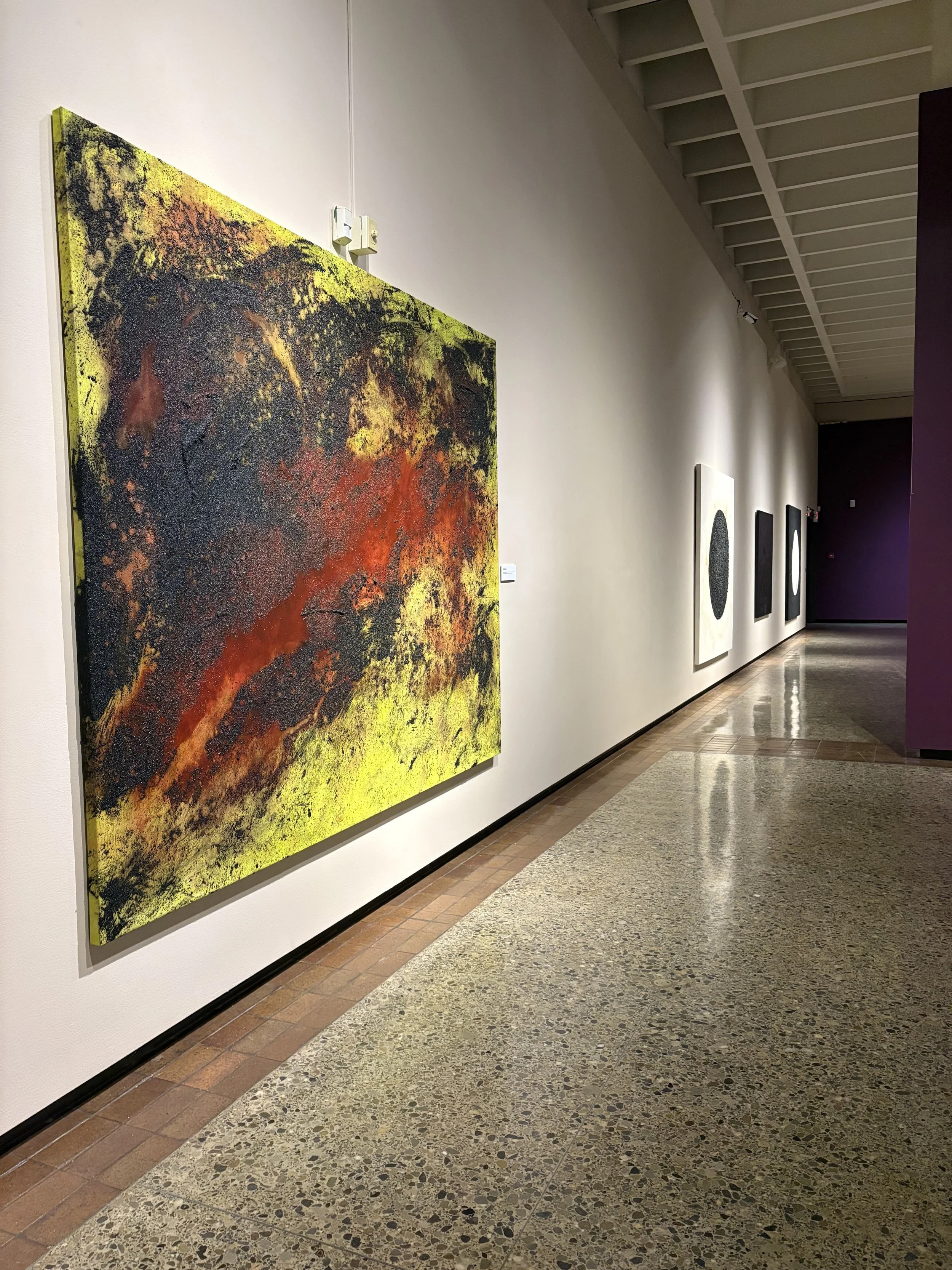 Apeiron Canton Museum of Art 2025 15.jpg