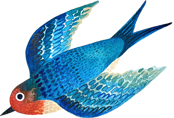 A colorful illustration of a swallow bird with blue and red plumage.