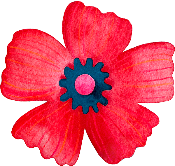 Close-up of a bright red flower with five petals and a dark blue center.