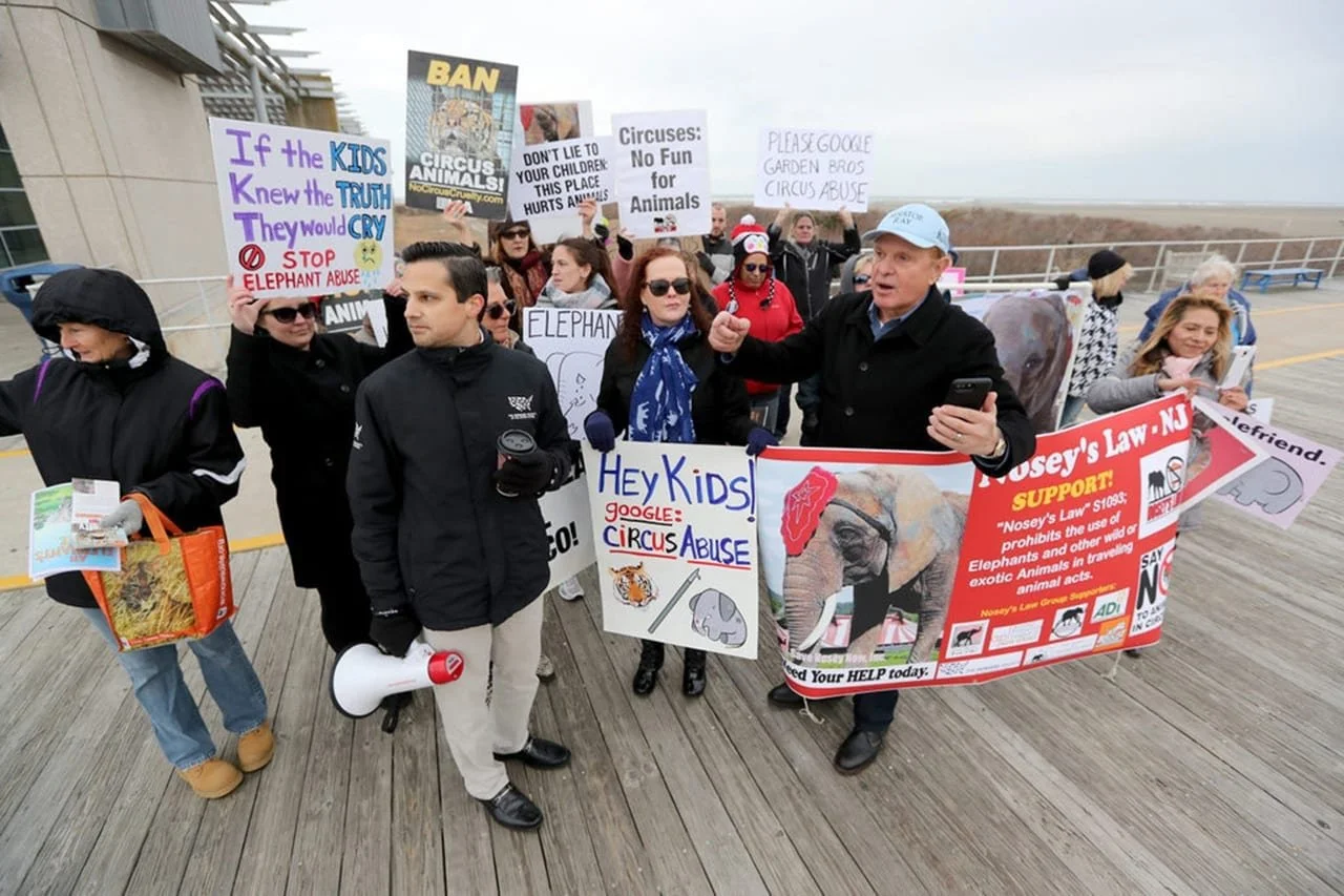 Nosey’s Law: Progress Making NJ The Humane State