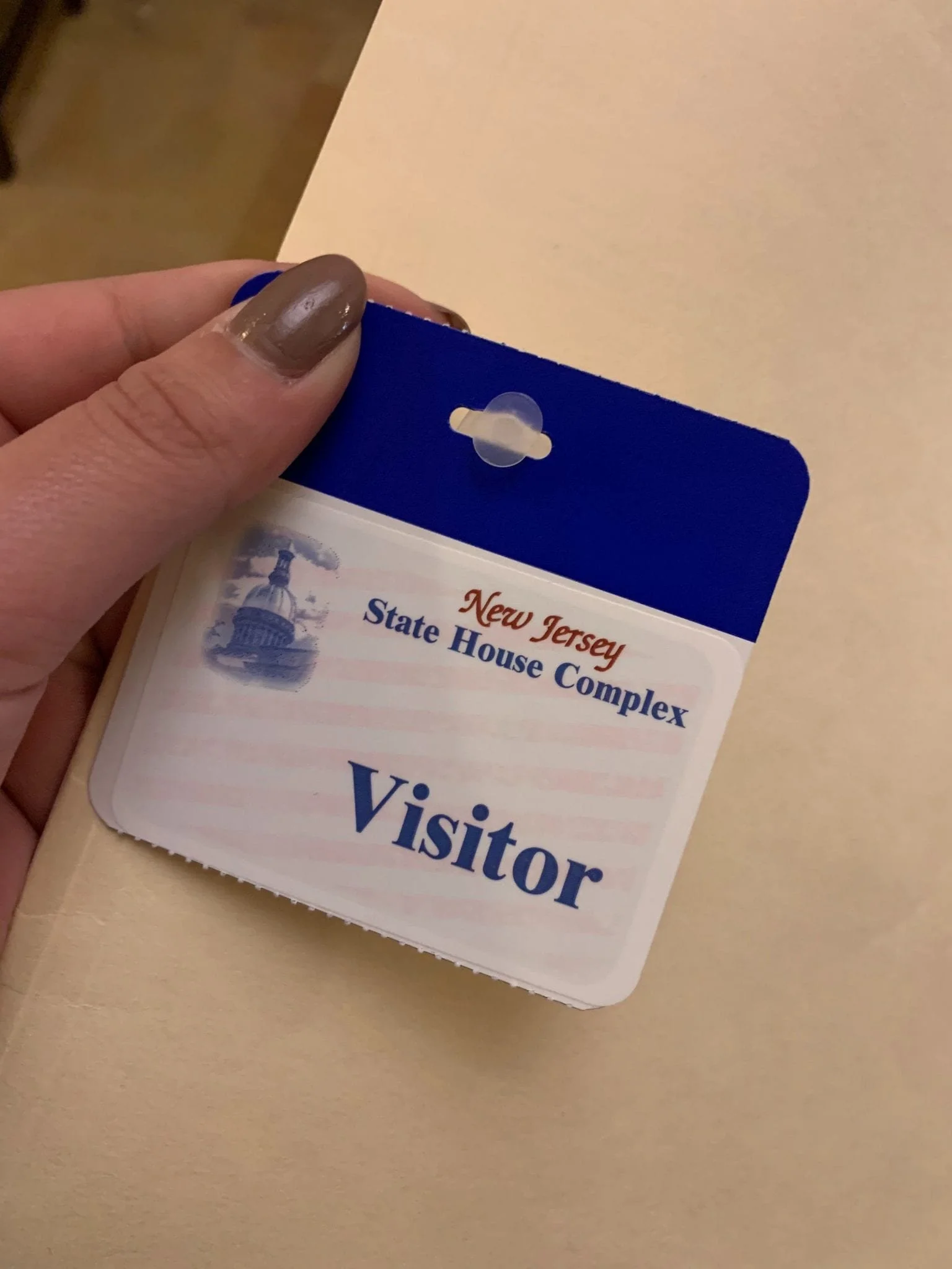 My Experience at a State Senate Meeting