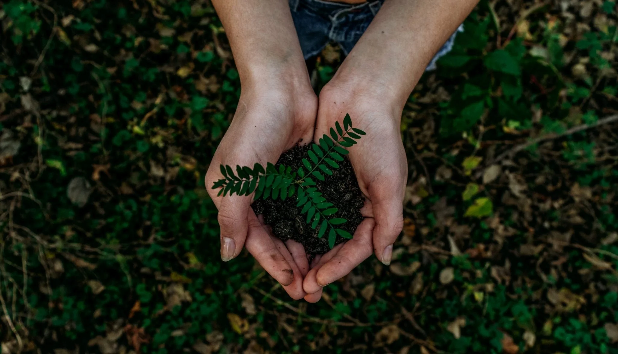 Top 6 Bills Targeting Environmental Issues