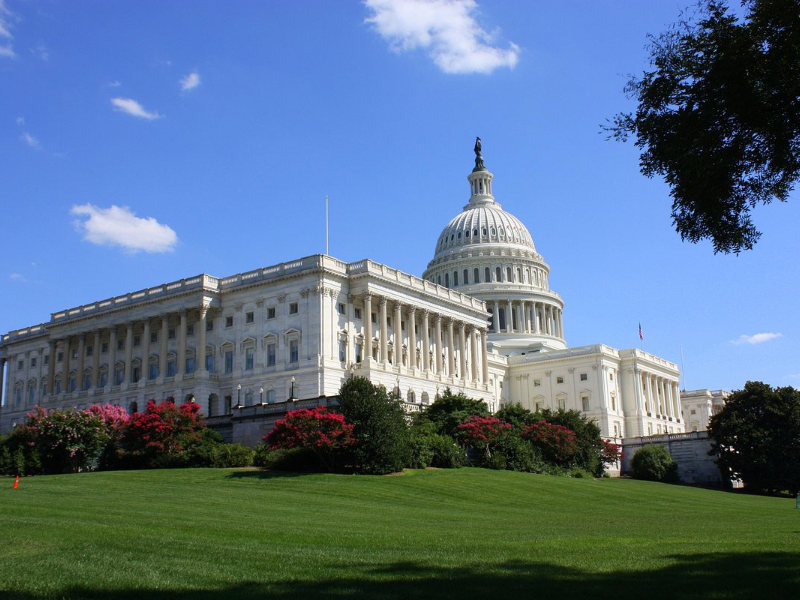 Influencing Legislation: How to Make Your Voice Heard!