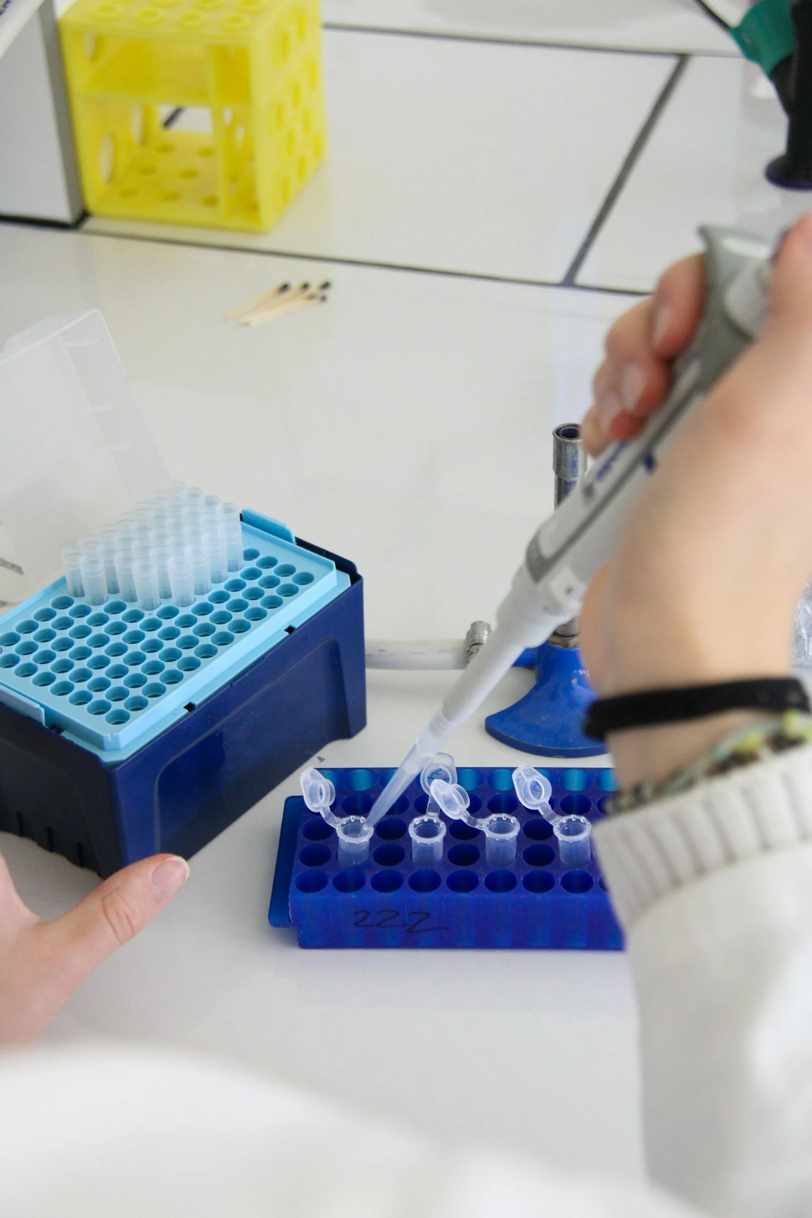 Laboratory vials and test tubes used in peptide therapy preparation