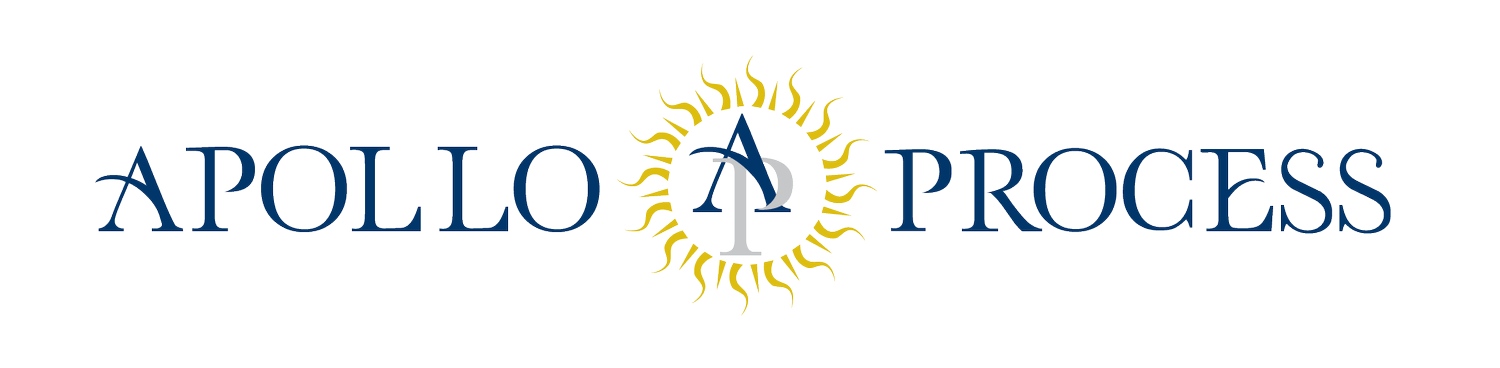 APOLLO PROCESS LLC
