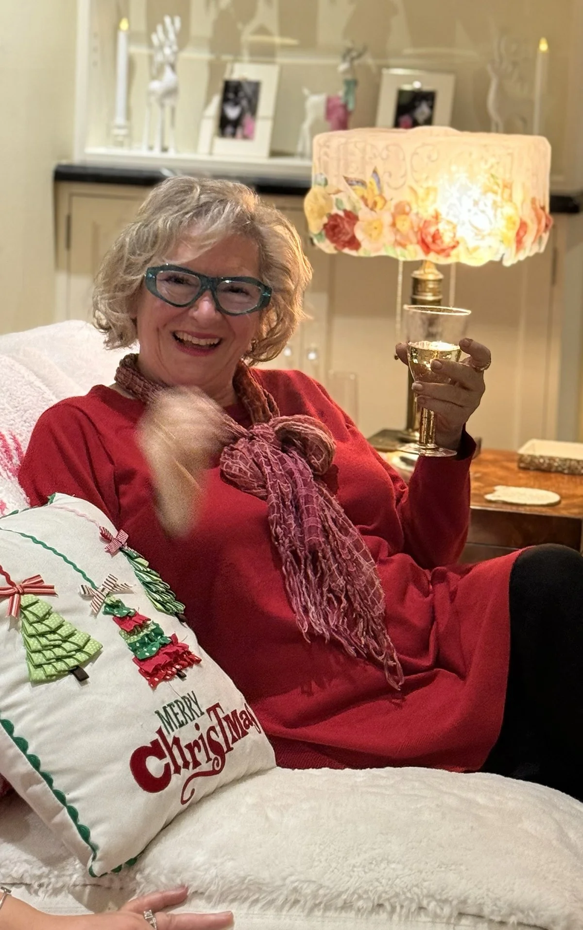 Mira xmas .jpg