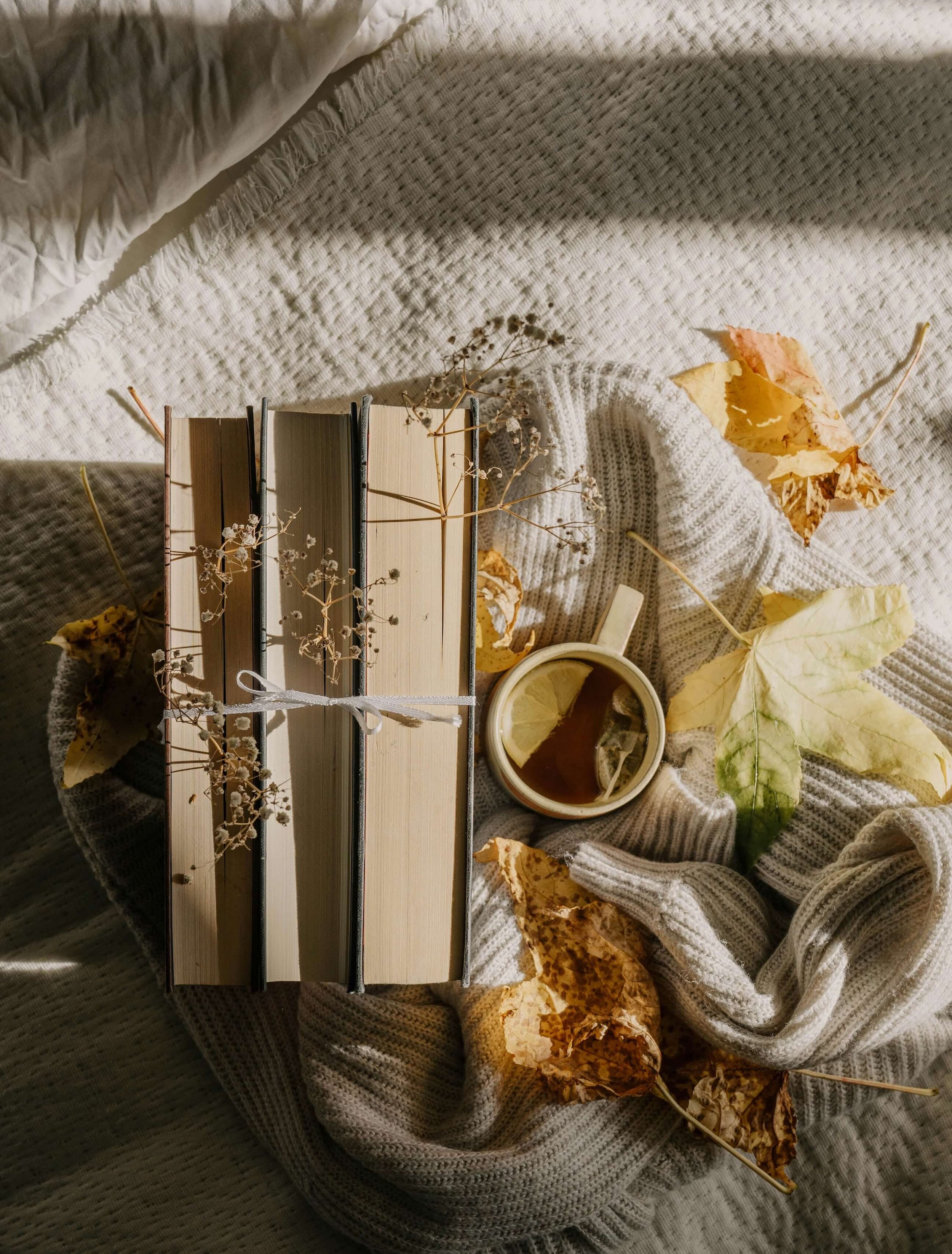 An overlay of books, leaves, flowers, sweater, and a cup of tea