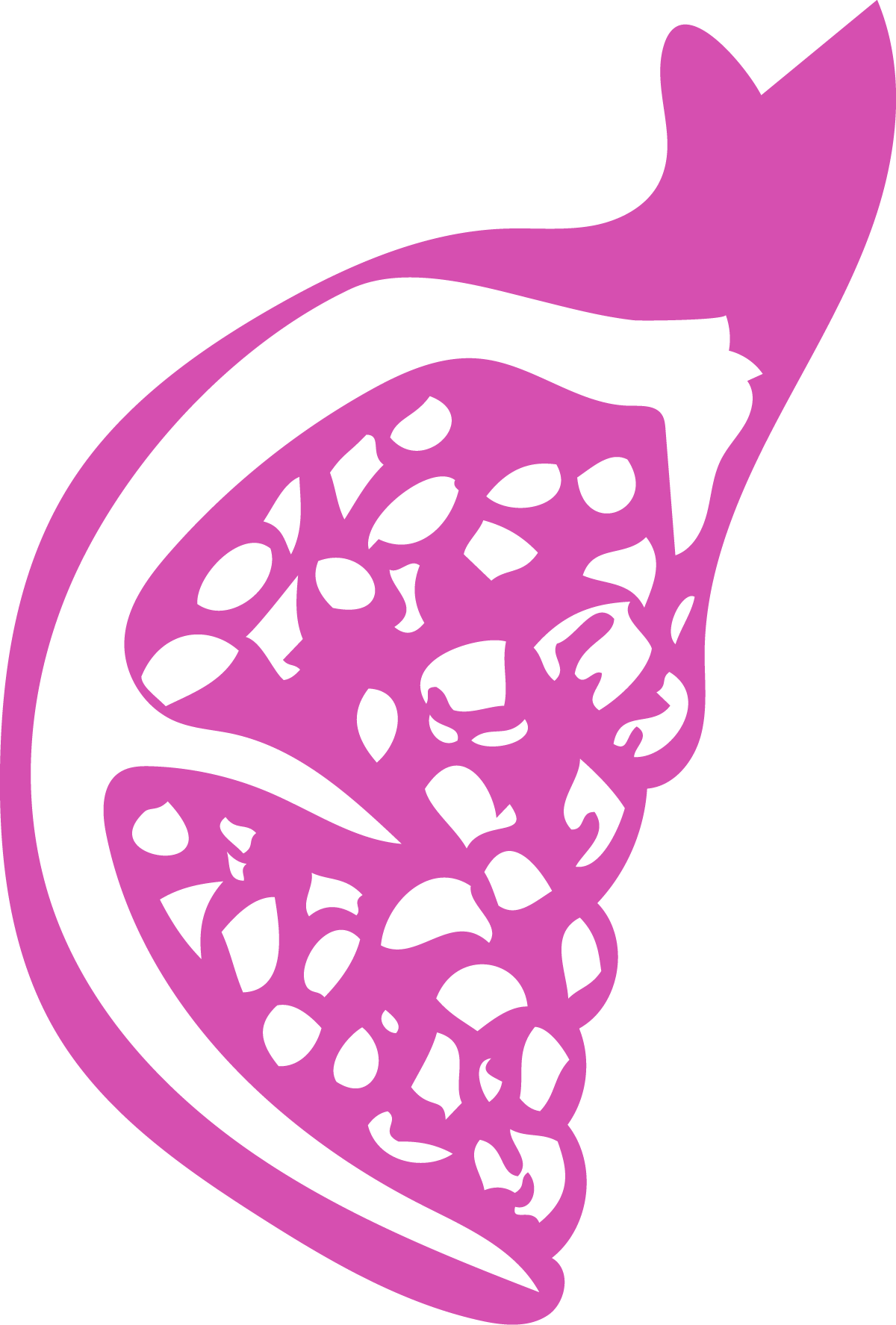Pink illustration of a halved pomegranate