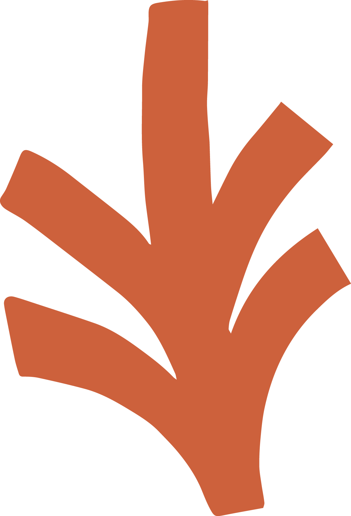 Burnt orange plant