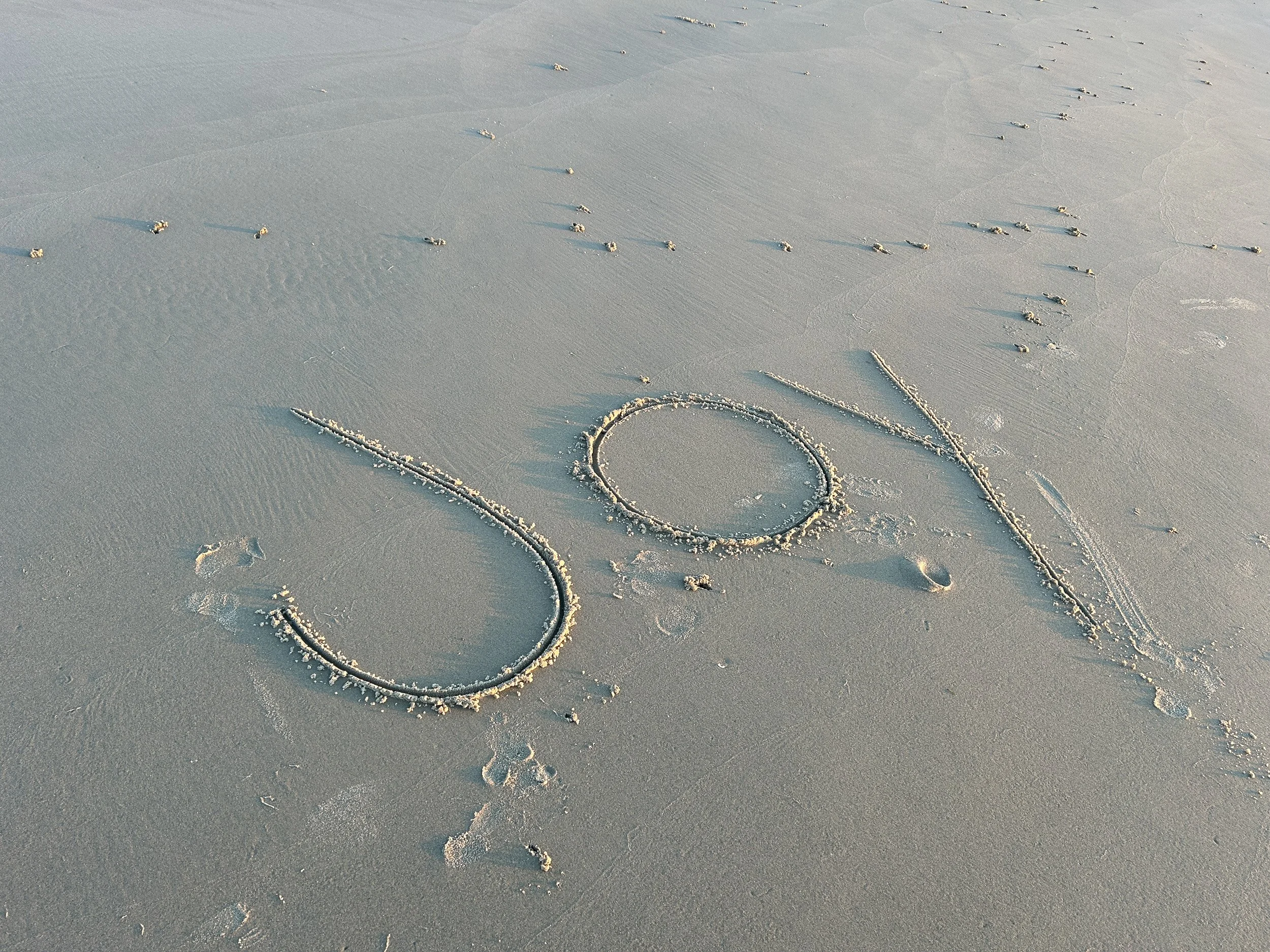 Beach with the word 'LOVE' written in large letters in the sand, along with small heart shapes and a few animal paw prints nearby.